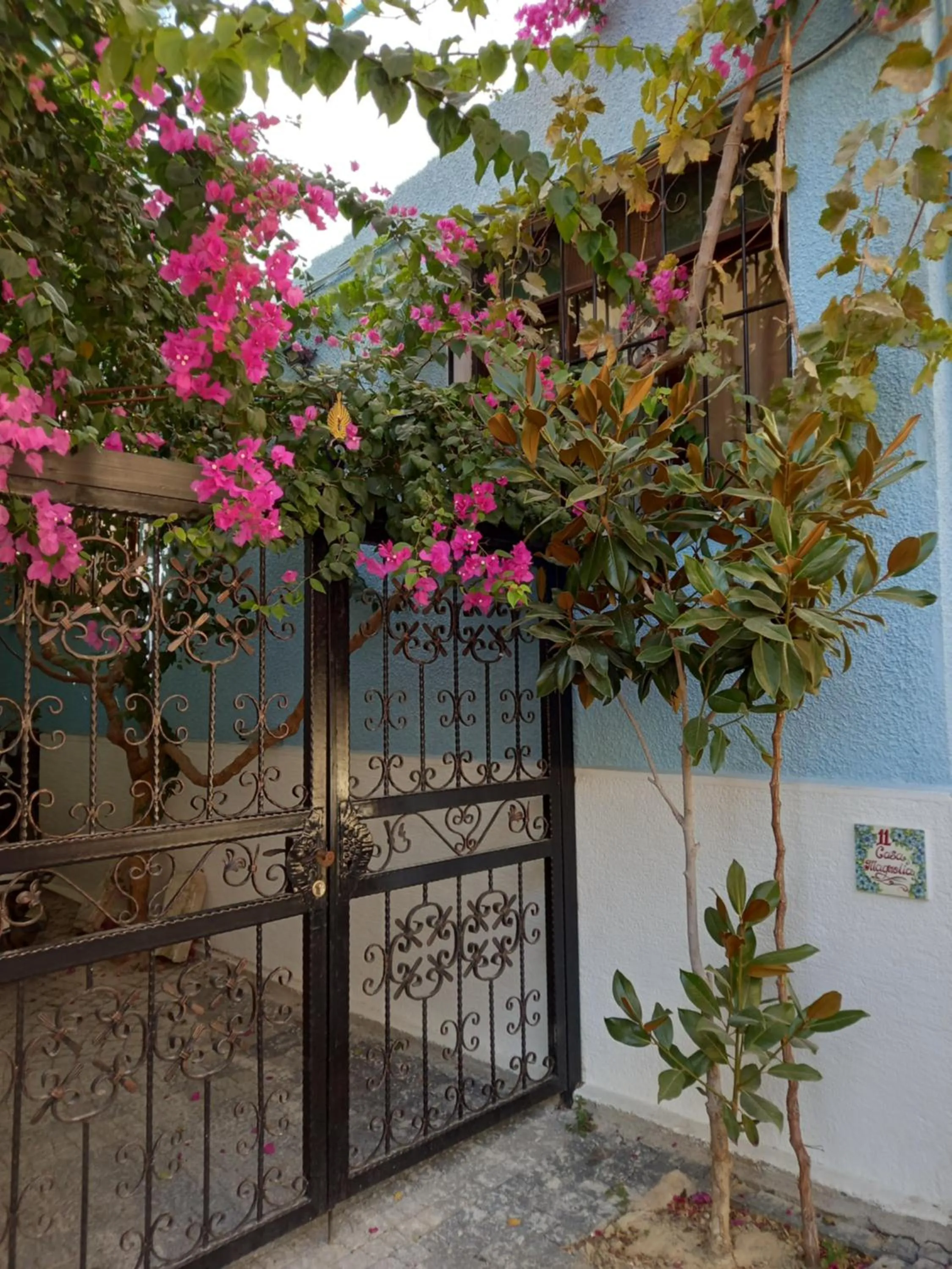 Casa Magnolia Boutique Rooms