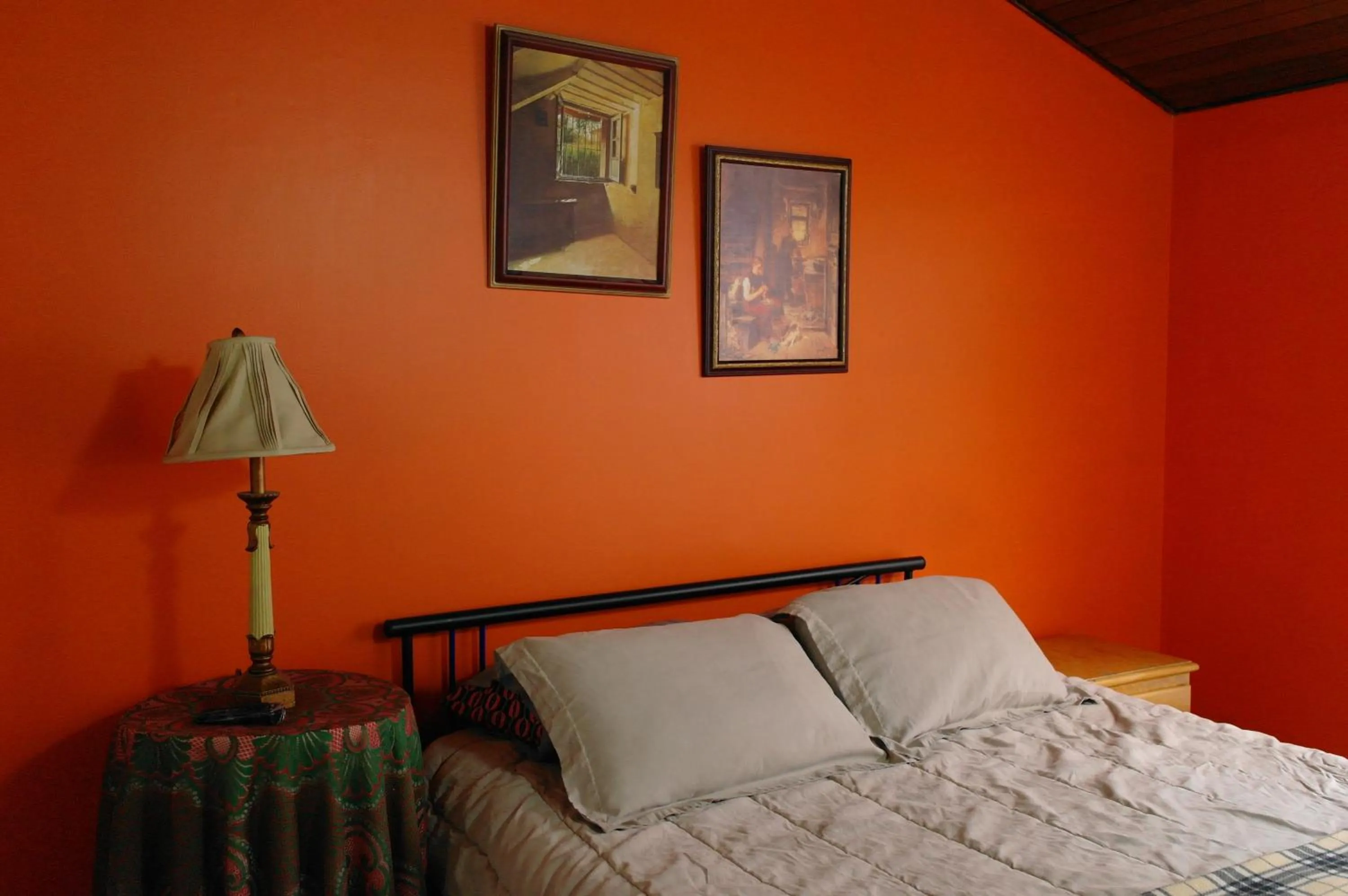 Double Room with Terrace - single occupancy in Casa Posada Amelia