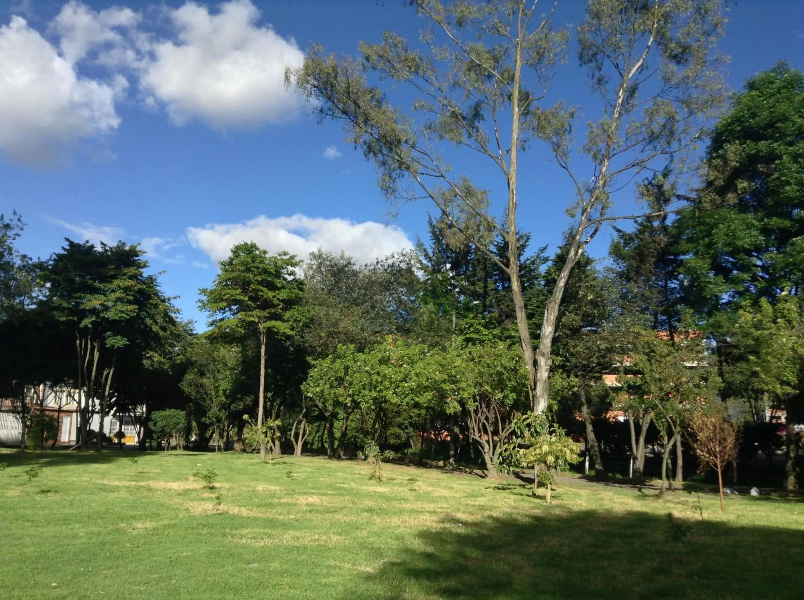 Decorative detail in Casa Posada Amelia