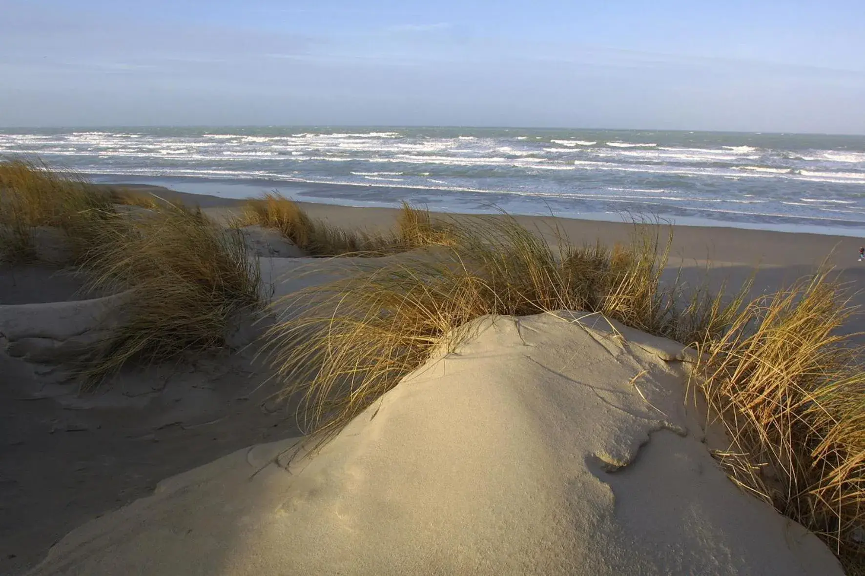 Day in Logis Auberge De La Dune - Hôtel & Restaurant Day in Logis Auberge De La Dune - Hôtel & Restaurant