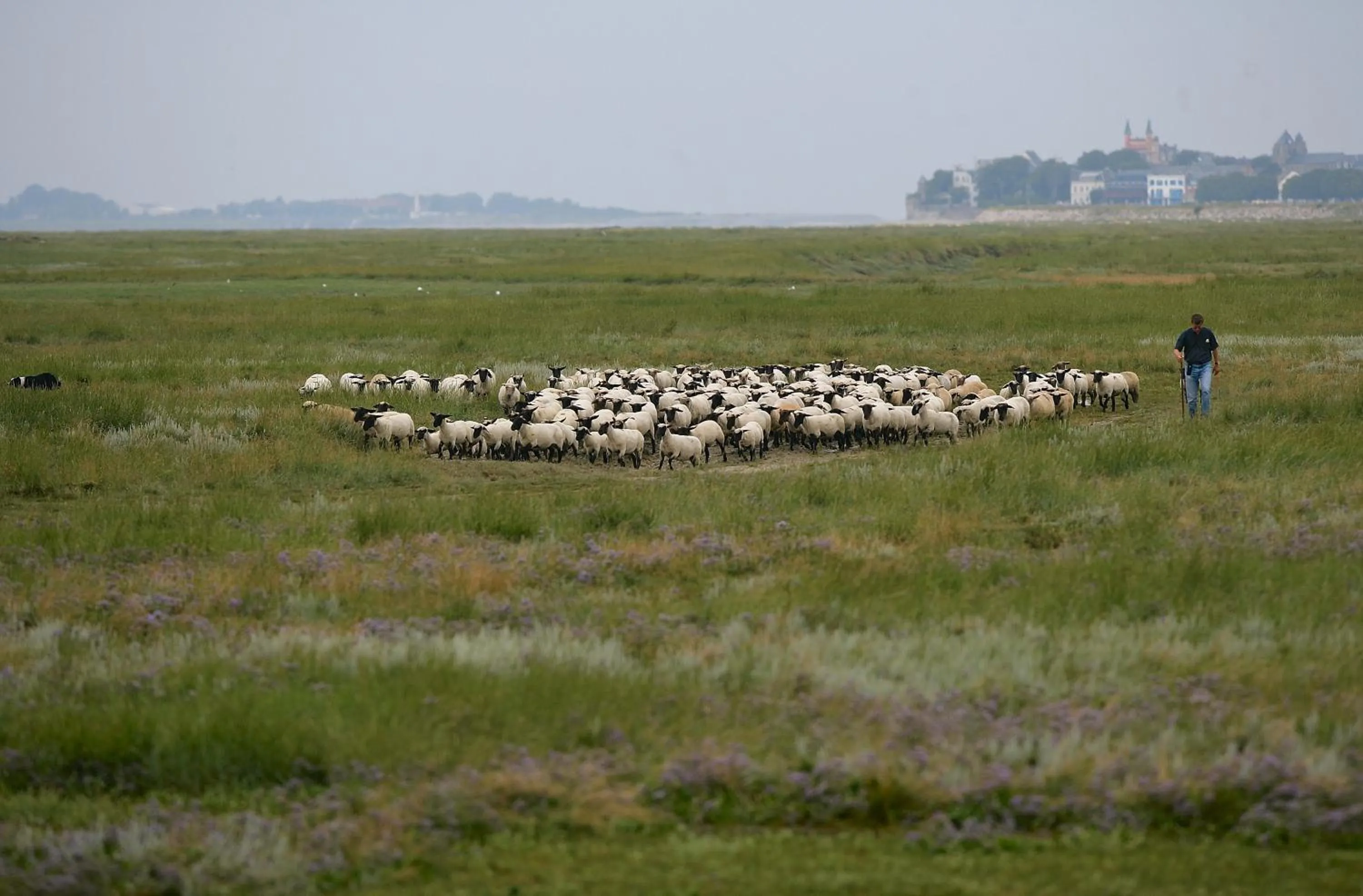 Day in Logis Auberge De La Dune - Hôtel & Restaurant