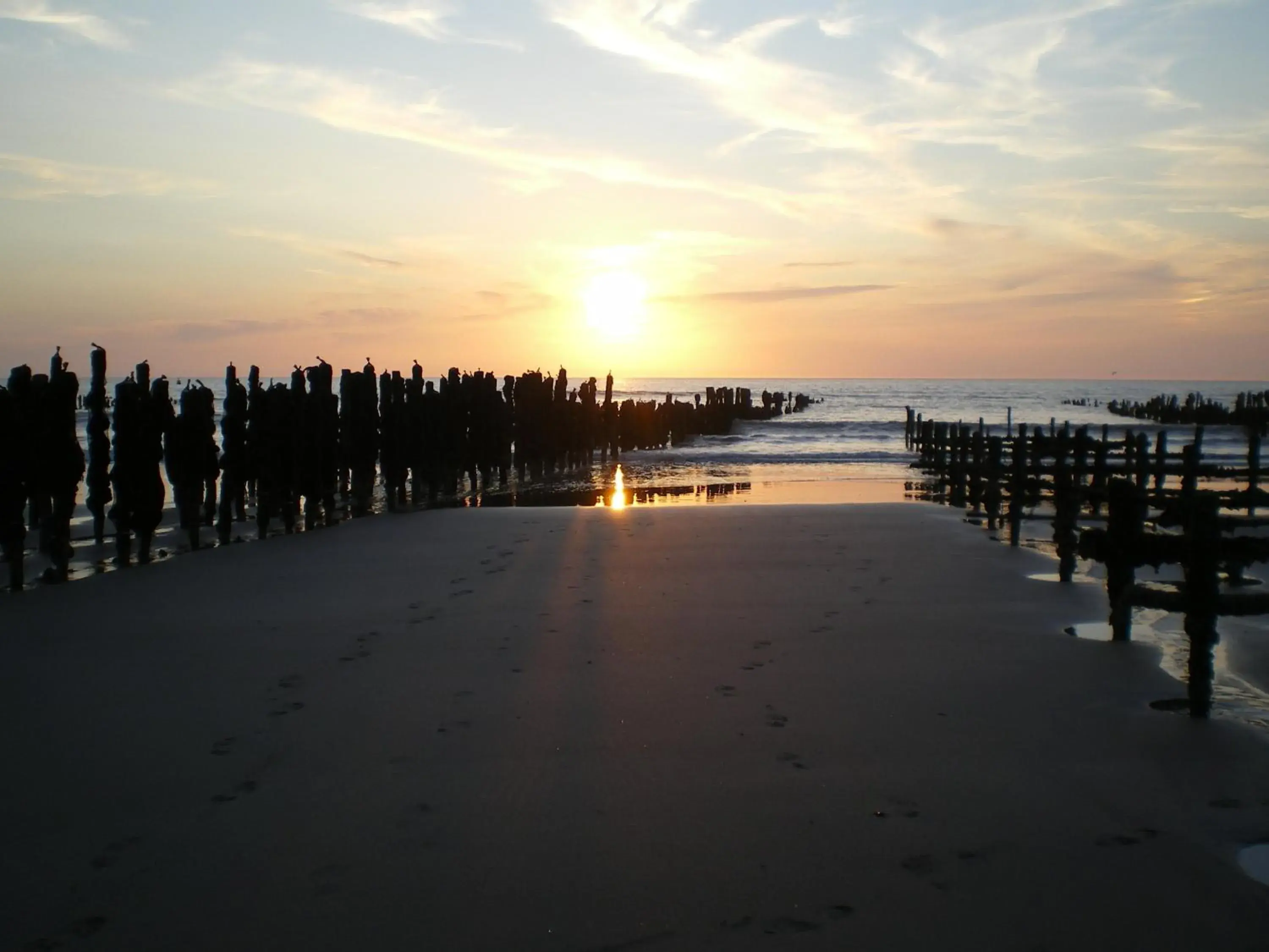 Natural landscape in Logis Auberge De La Dune - Hôtel & Restaurant Natural landscape in Logis Auberge De La Dune - Hôtel & Restaurant