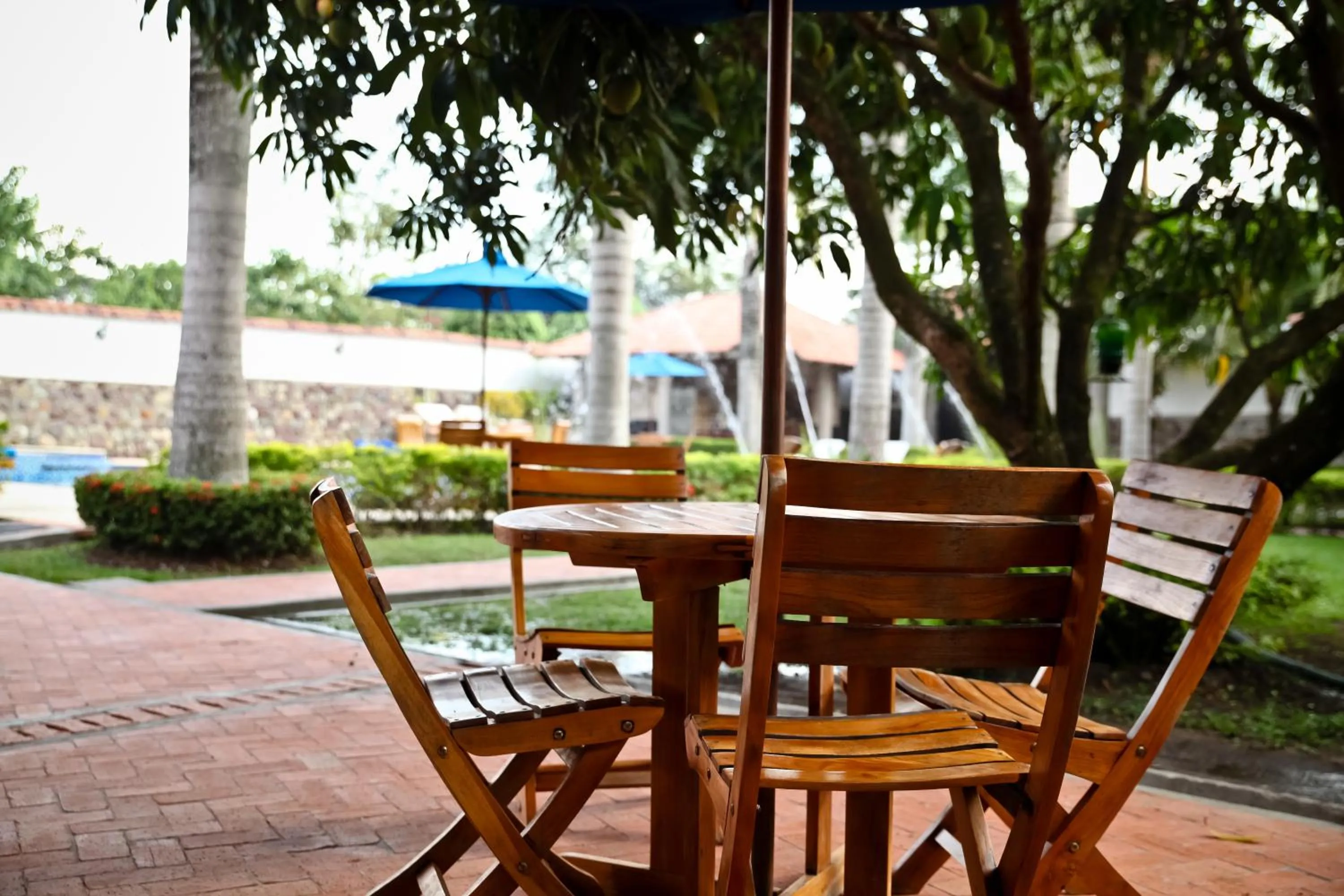 Lounge or bar in Hotel Boutique Villas de San Sebastián