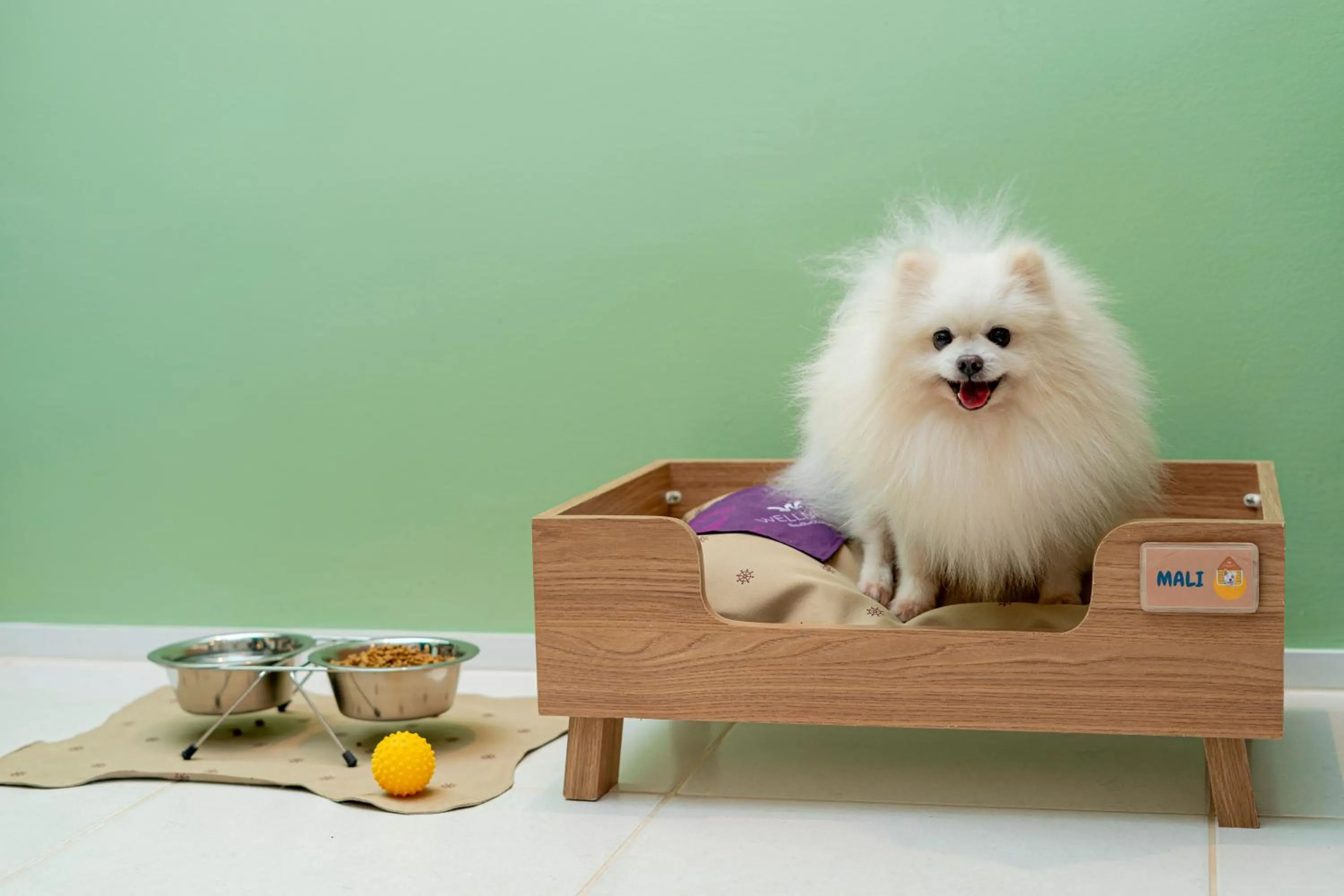 Pets in Beach Park Resort - Wellness