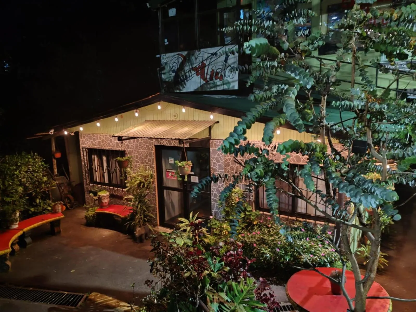 Garden view in Cabinas El Pueblo B&B Monteverde