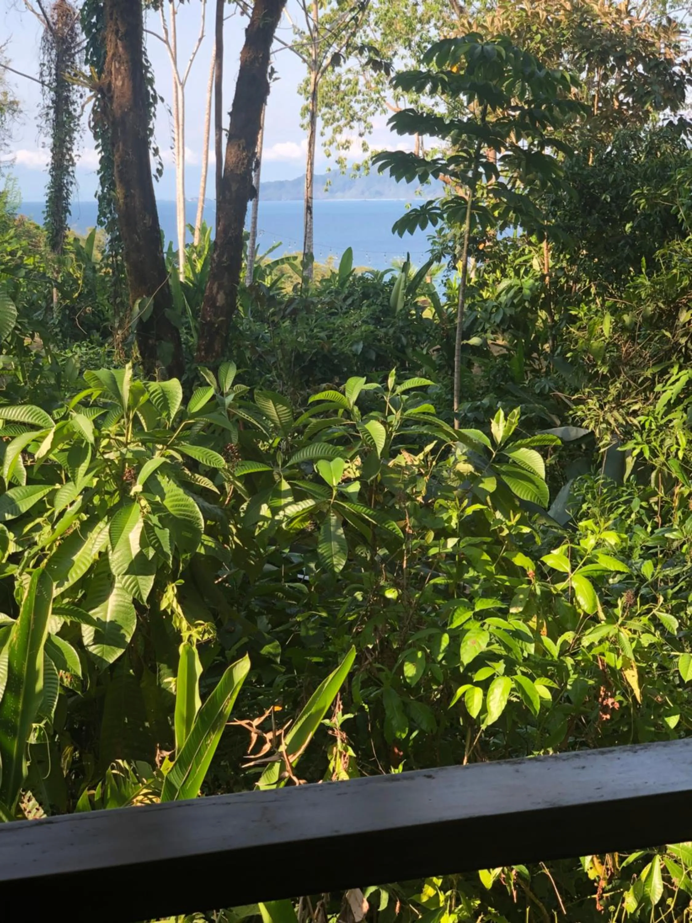 Hotel Jinetes de Osa