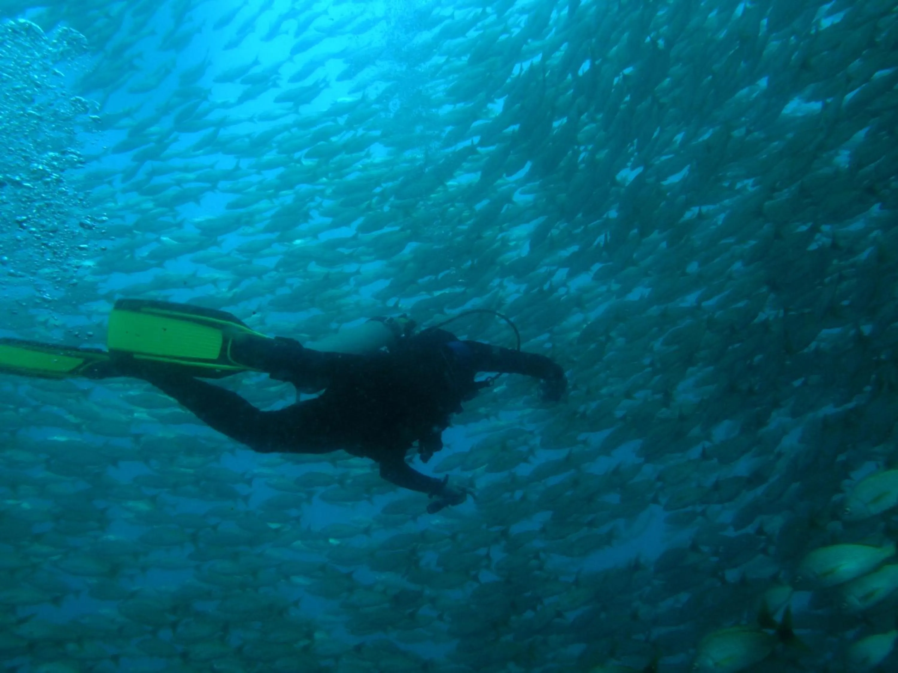 Snorkeling in Hotel Jinetes de Osa