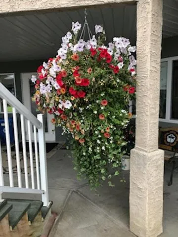 Shoreside Inn & Suites