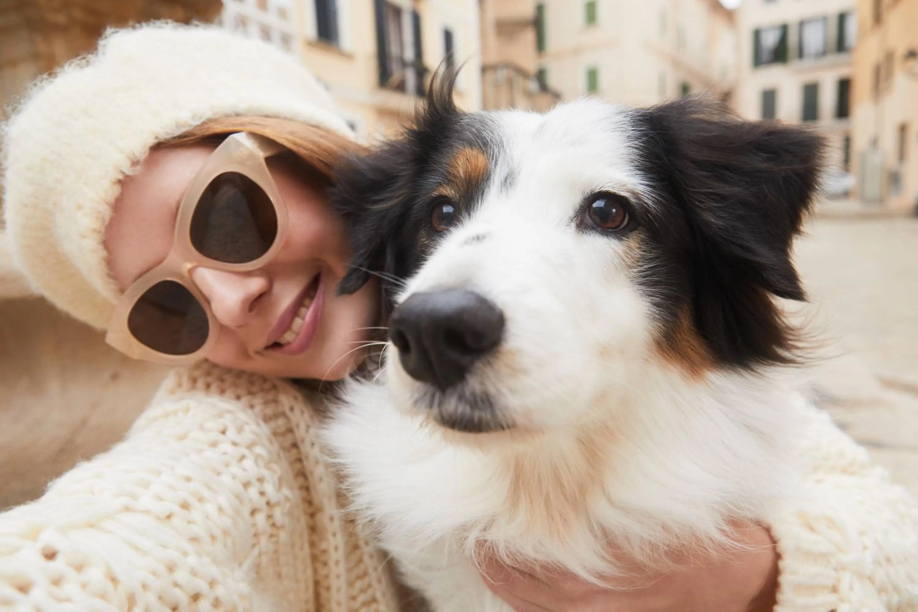 Meliá Orlando Celebration