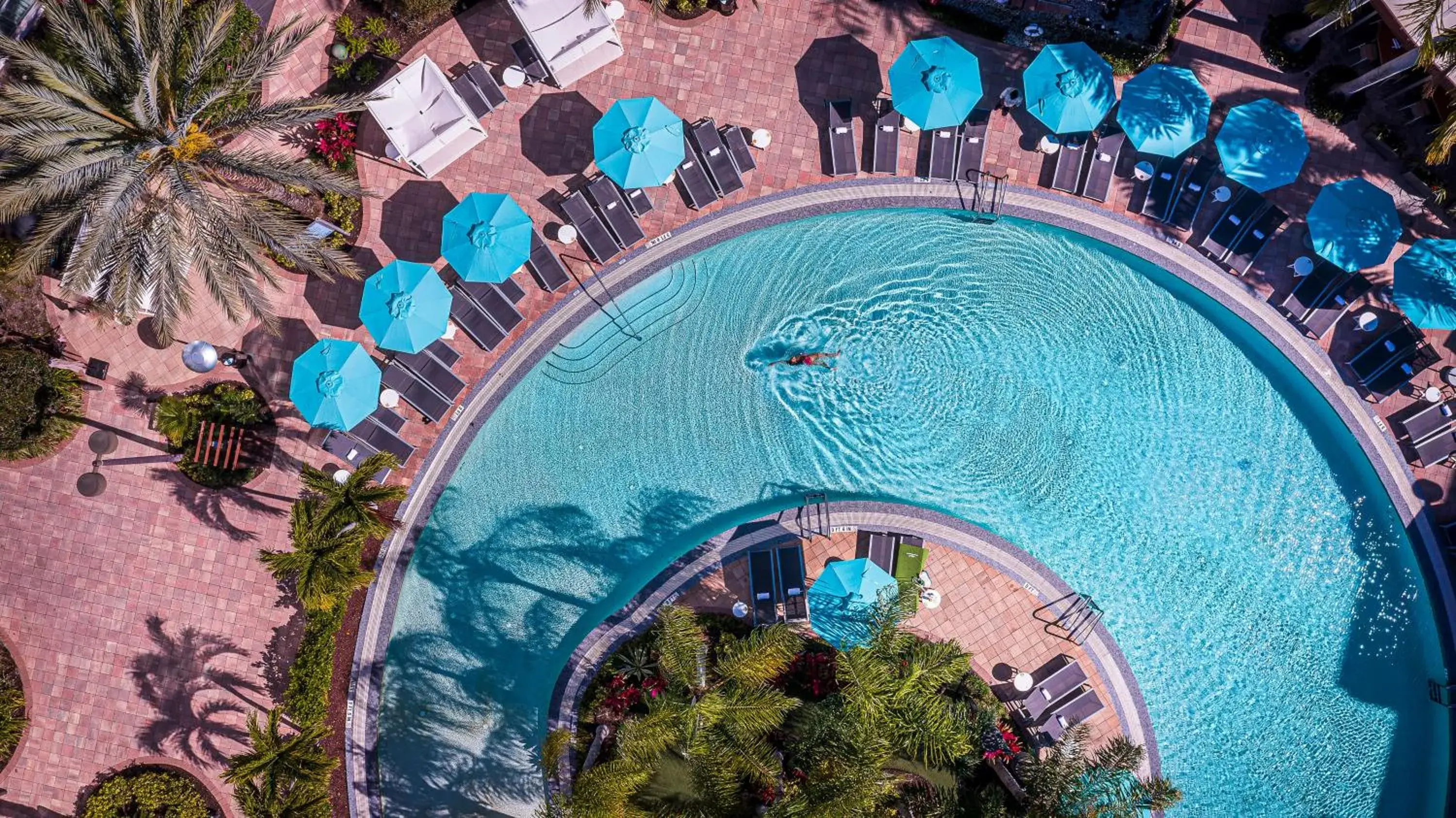 Meliá Orlando Celebration Meliá Orlando Celebration