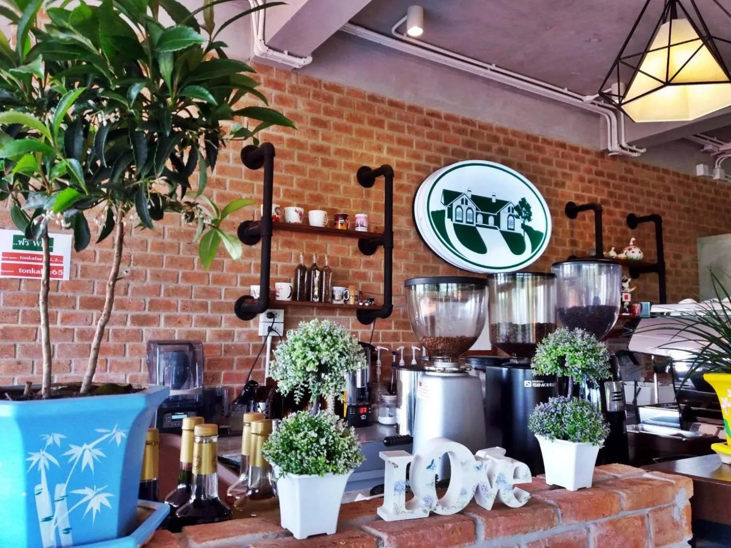 Restaurant/places to eat in Arabica Khaokho