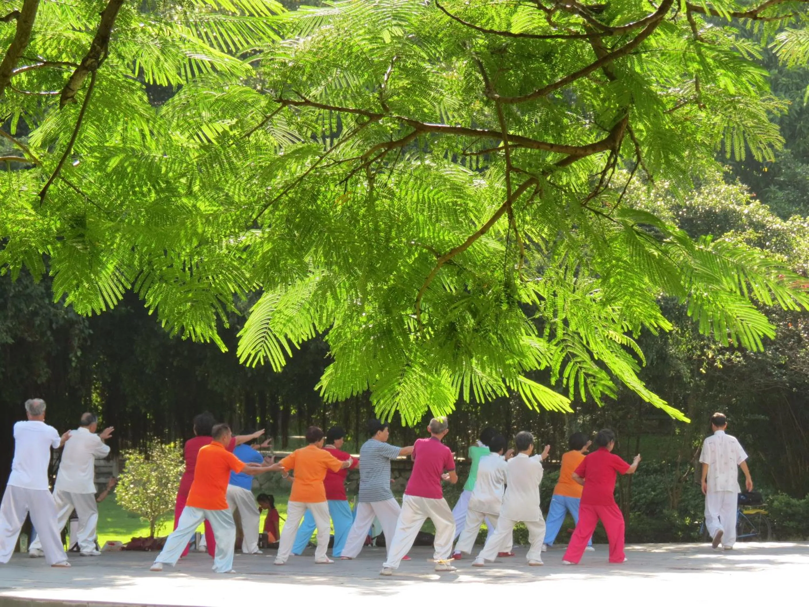 Shenzhen Loft Youth Hostel