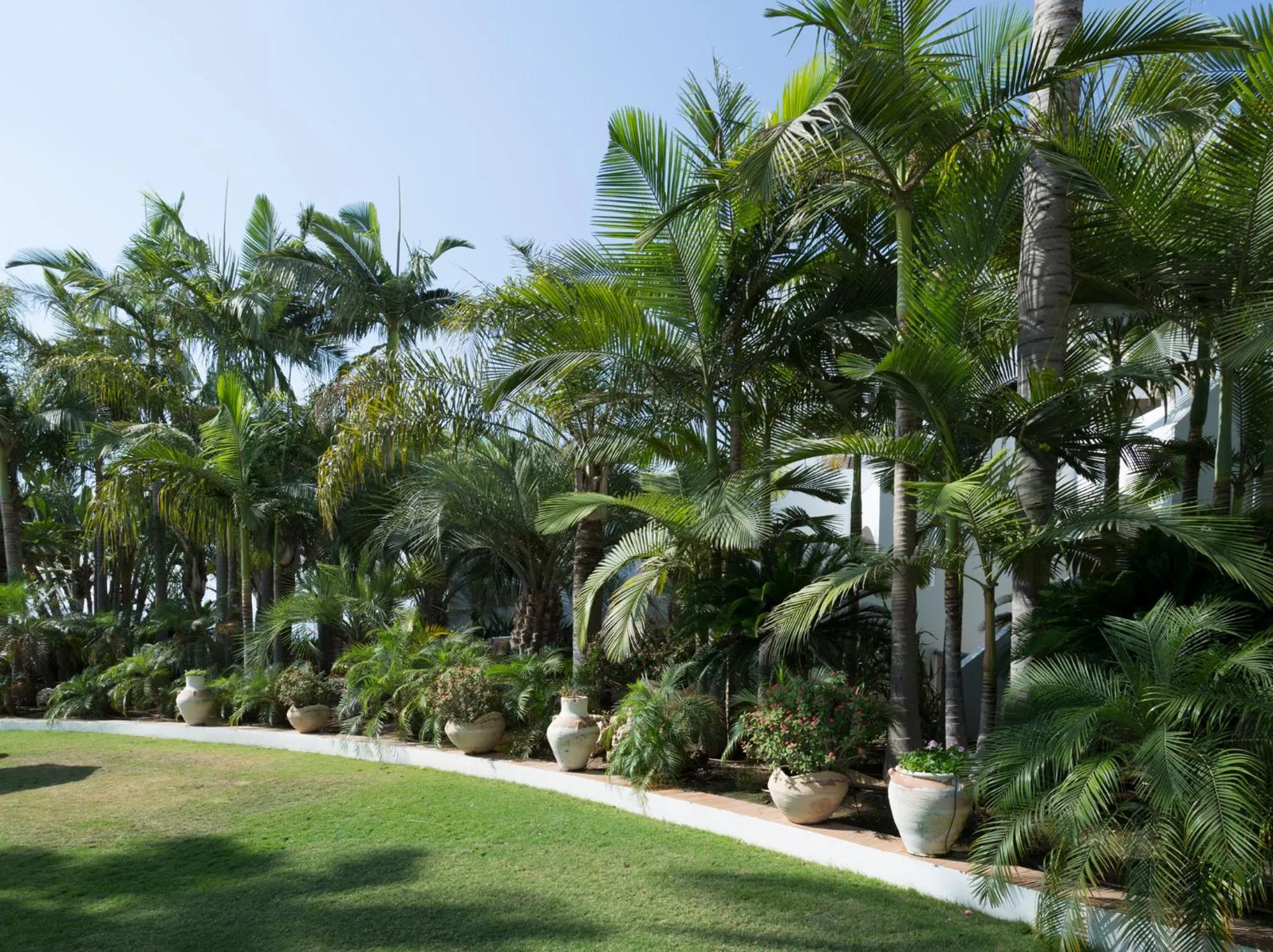 Garden in Gai Beach Hotel
