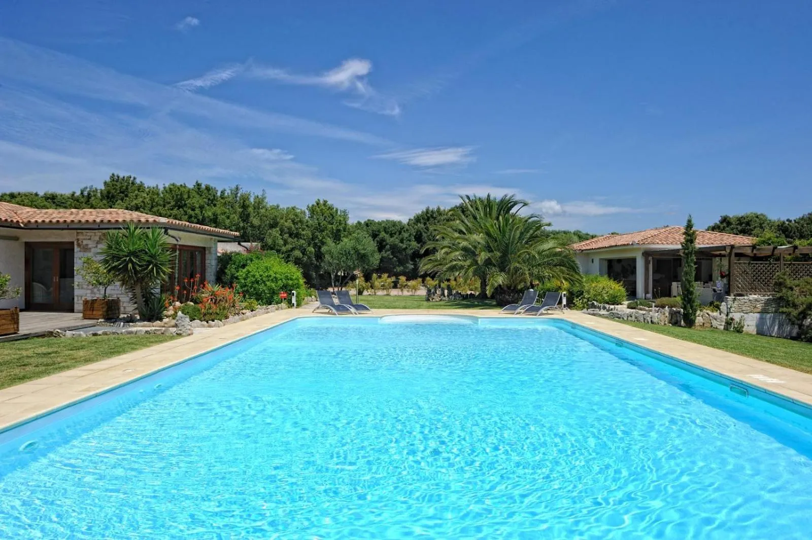 Spring in Poisson Rouge