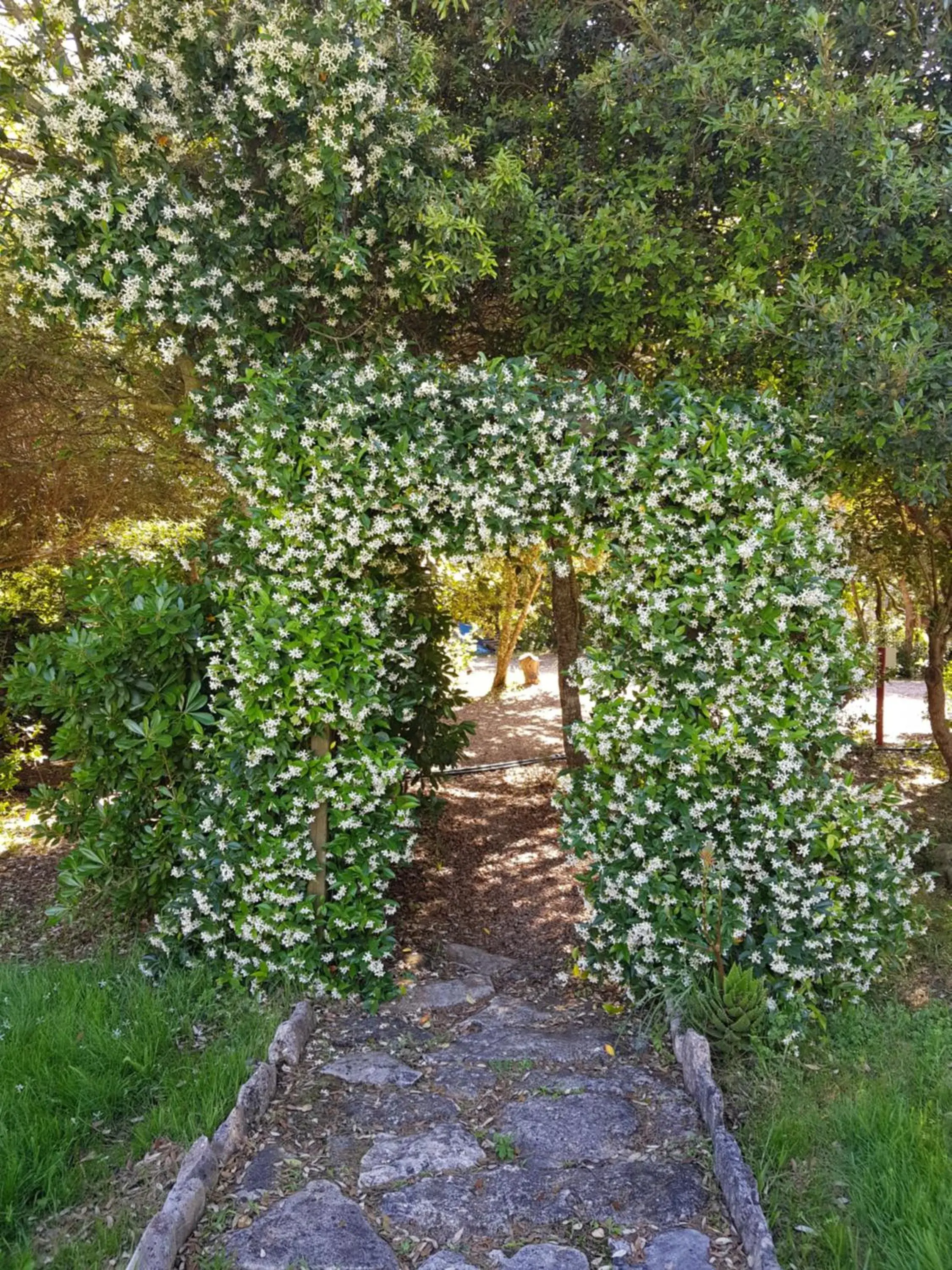 Classic Double Room in Poisson Rouge Classic Double Room in Poisson Rouge