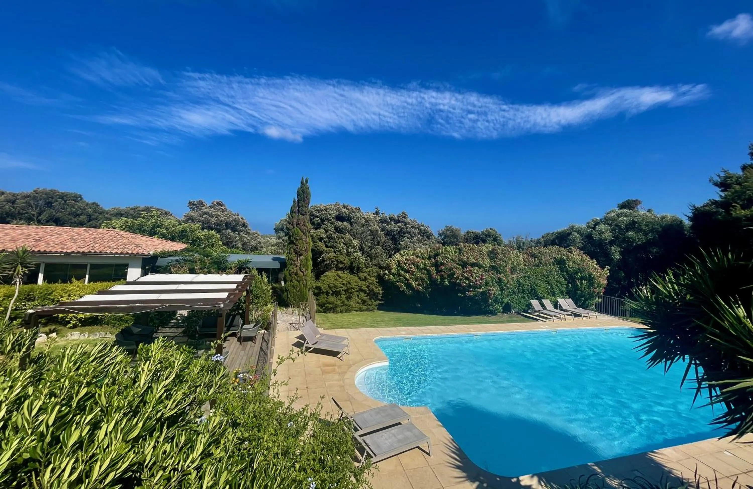 Garden in Poisson Rouge