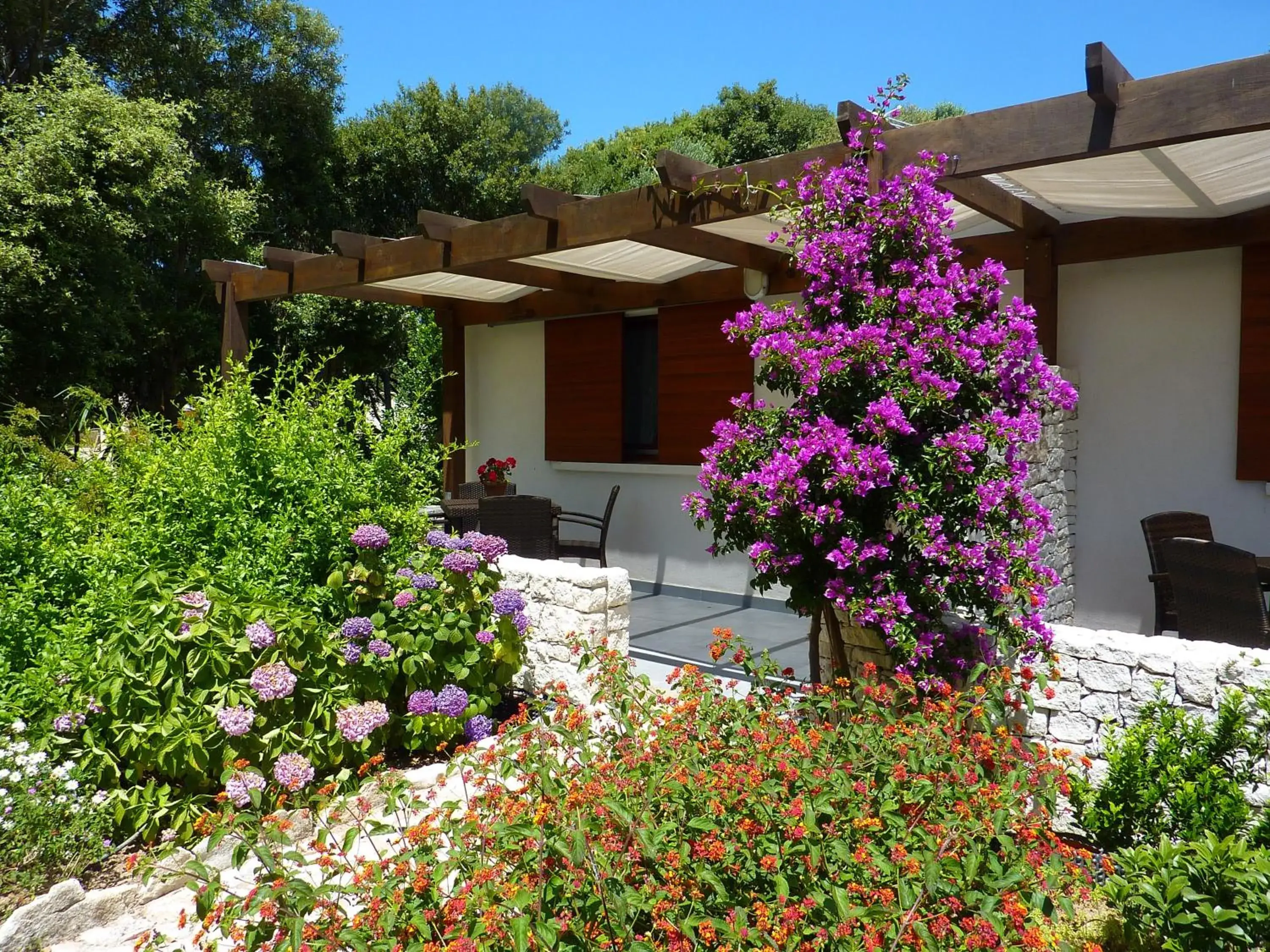 Comfort Suite in Poisson Rouge Comfort Suite in Poisson Rouge