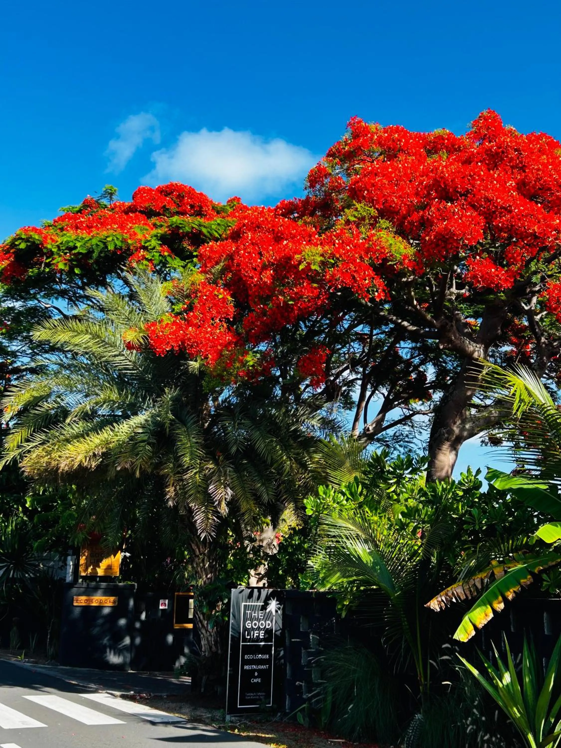 Facade/entrance in The Good Life - Eco Lodges & Serenity Boutique Hotel - Adults Only