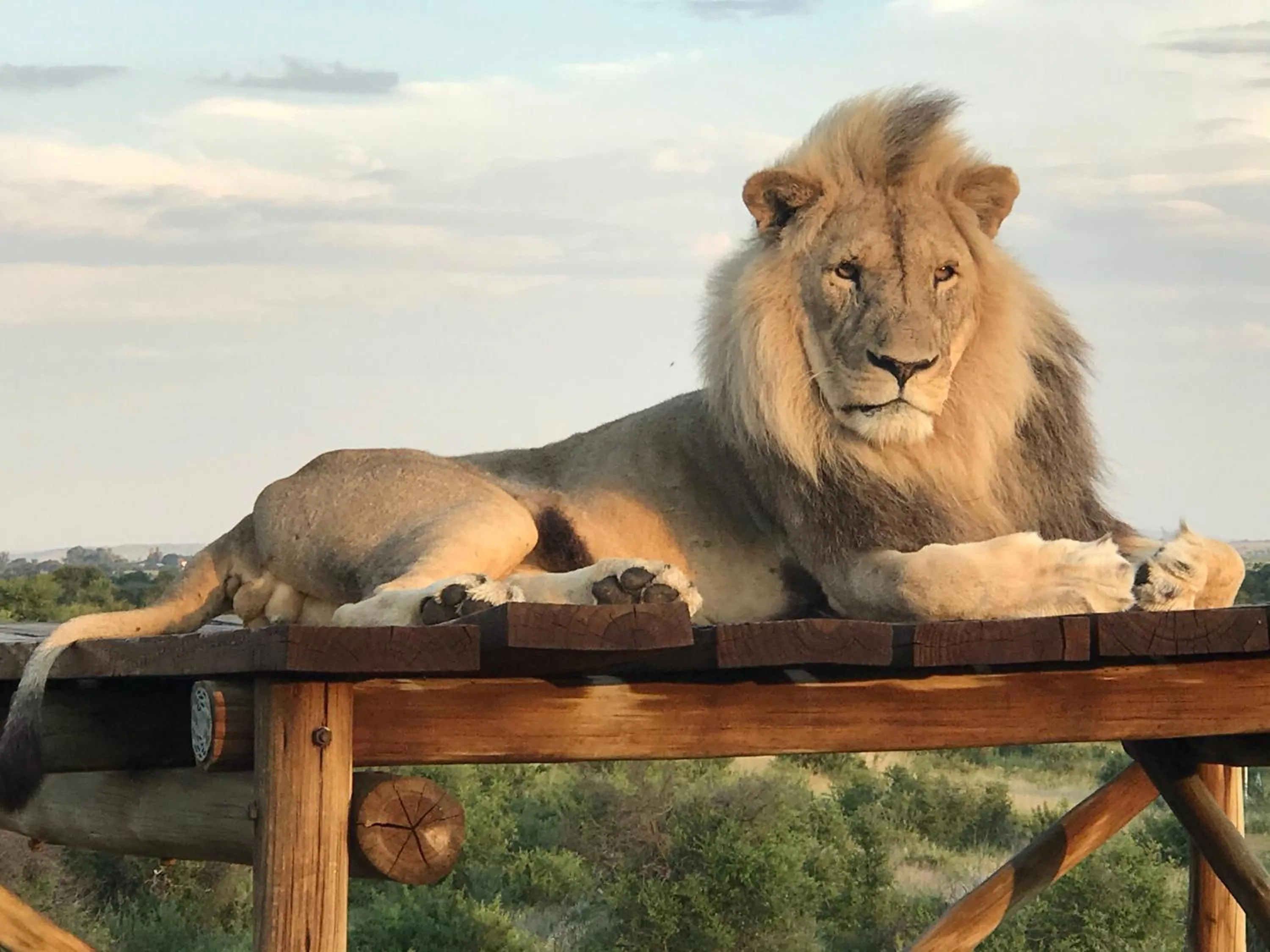 Weltevreden Game Lodge