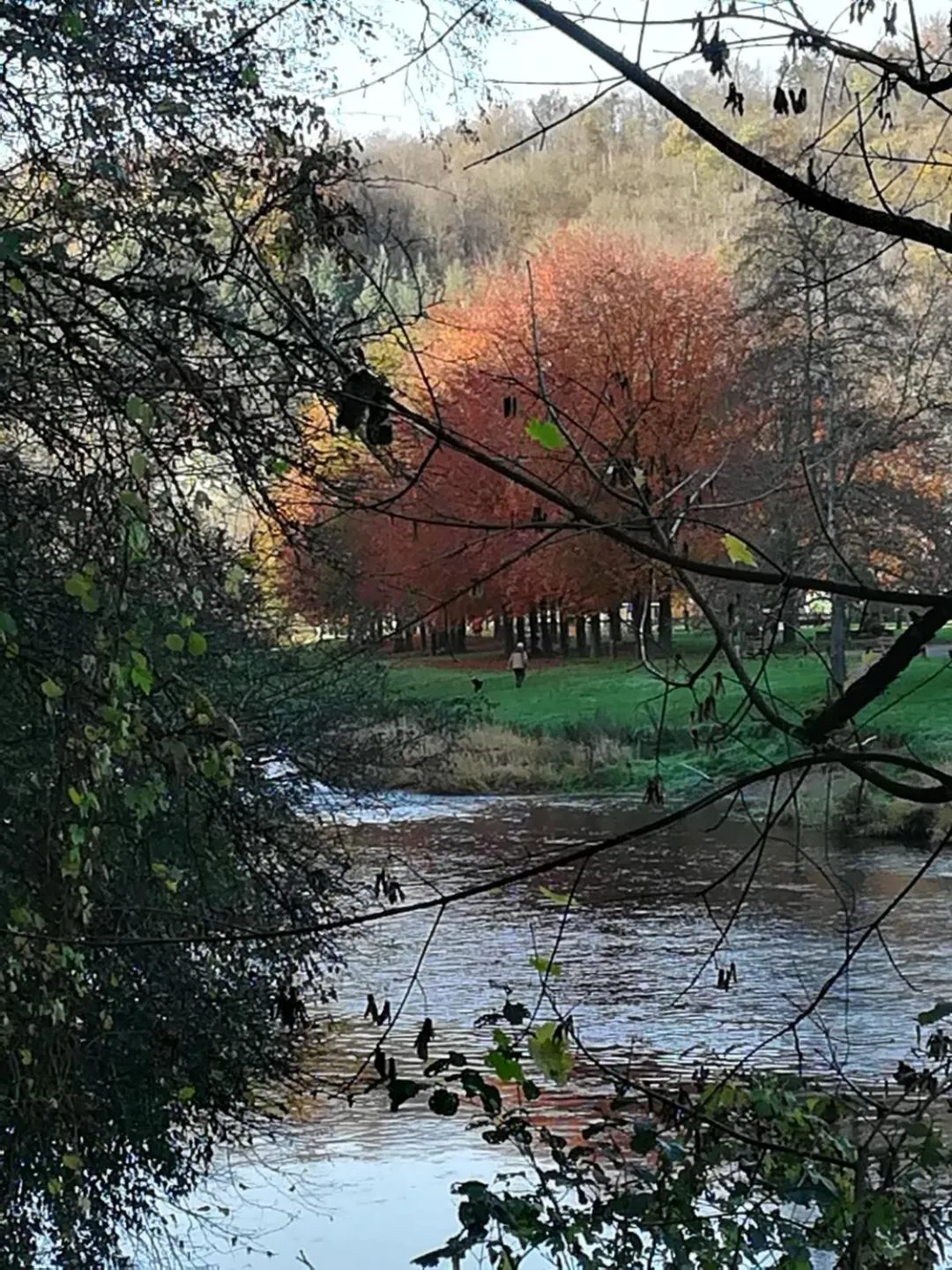 Natural landscape in L'ancienne Boulangerie