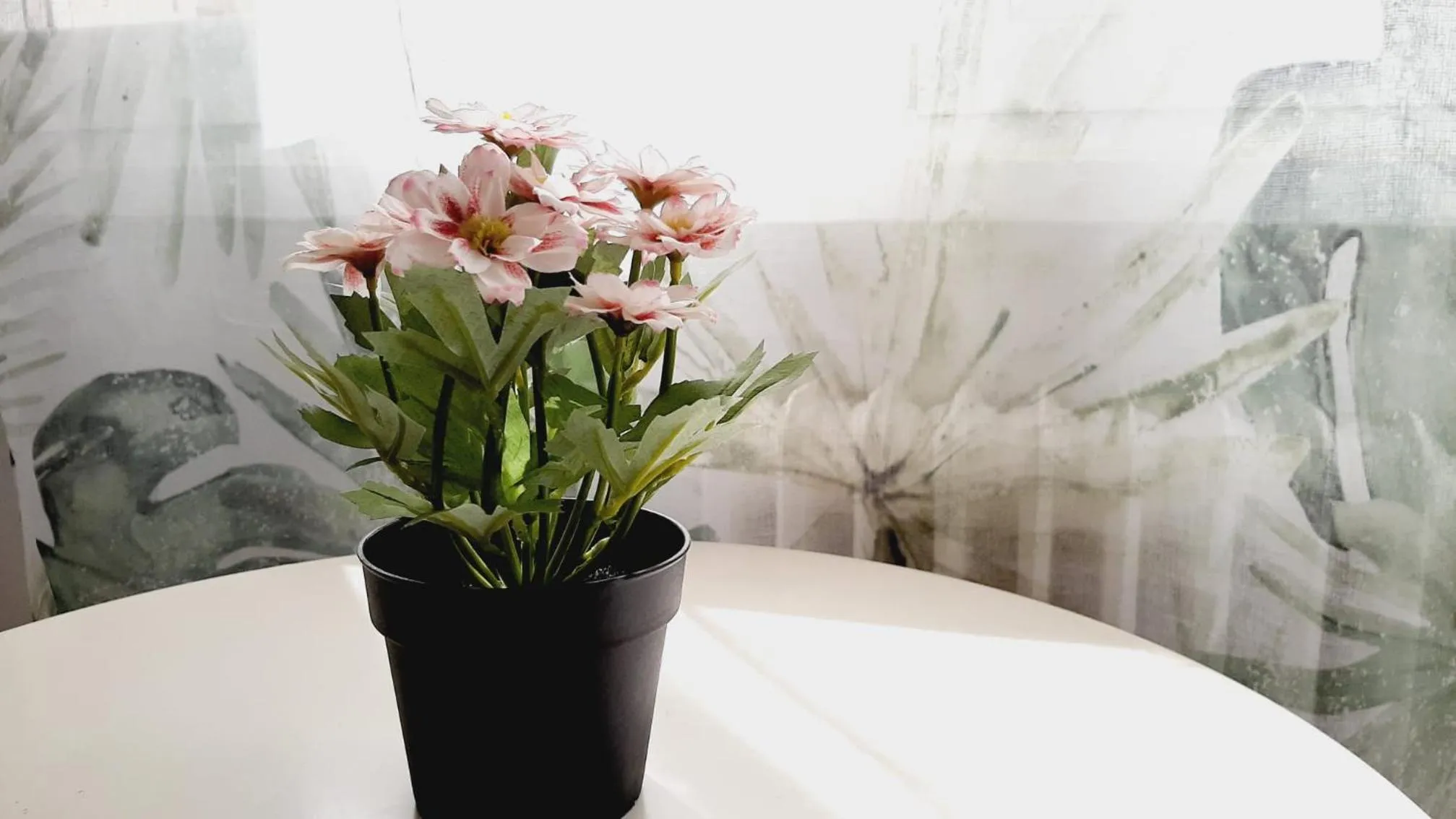 Decorative detail in Hostal Lucia by gaiarooms