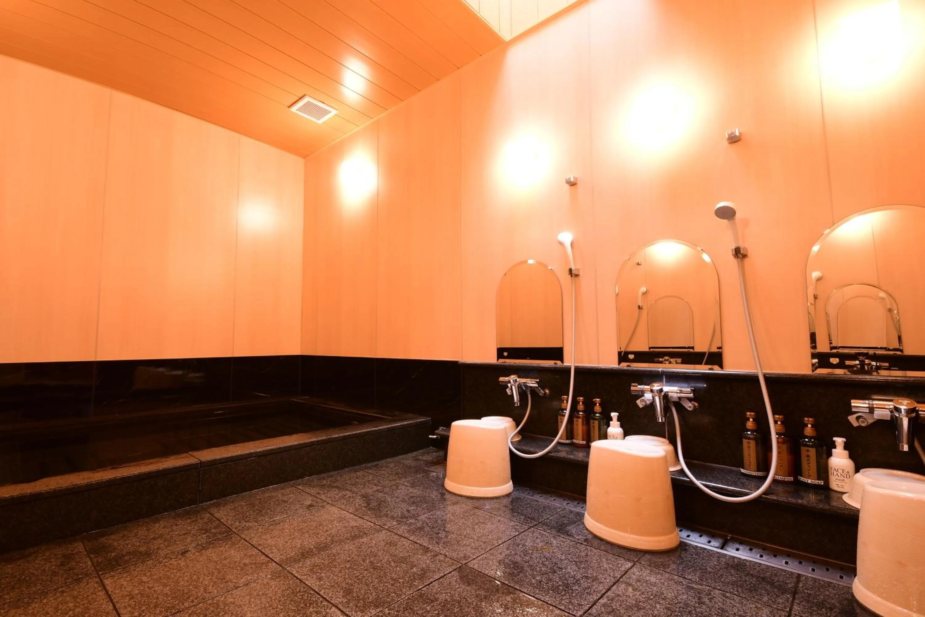 Public Bath in Koyasan Shukubo Yochiin