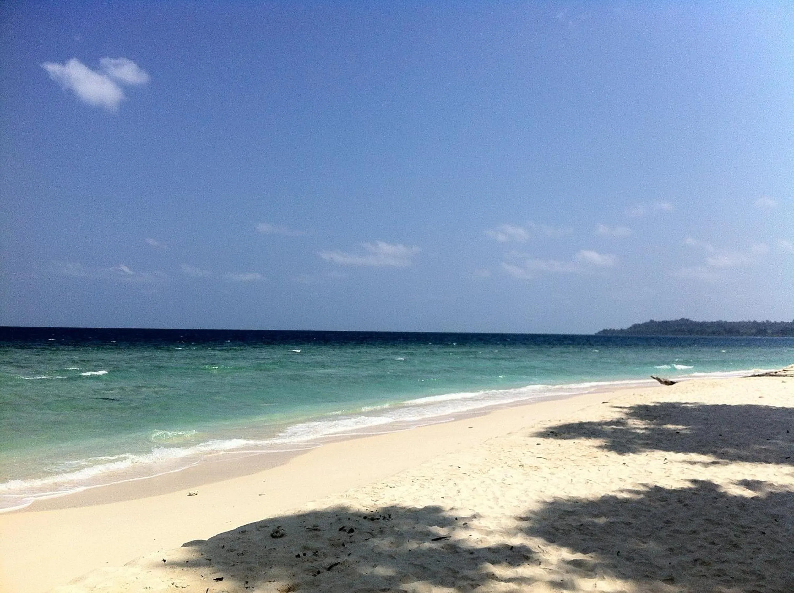 Beach in Sea Shell Neil