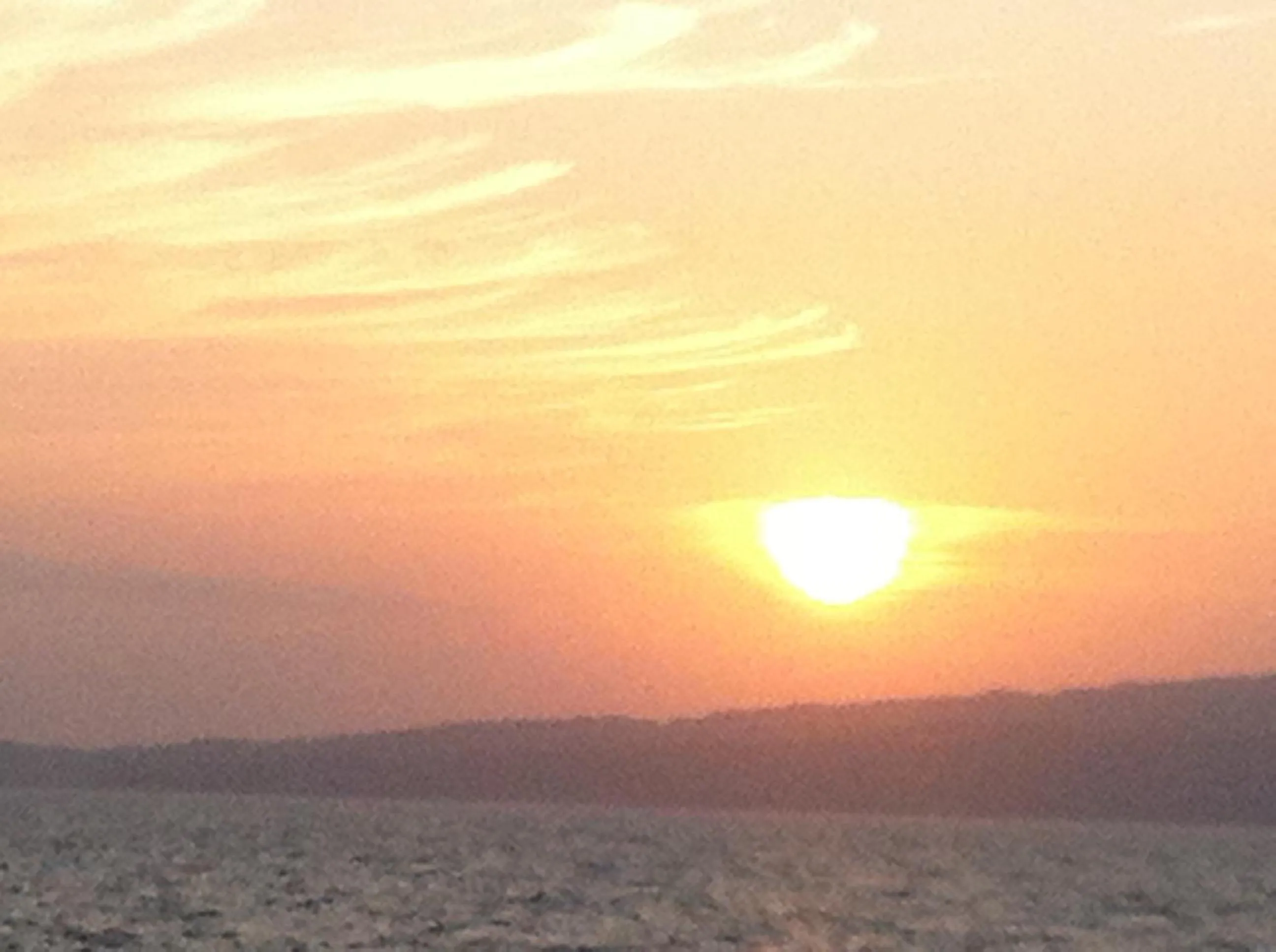 Natural landscape in Sea Shell Neil