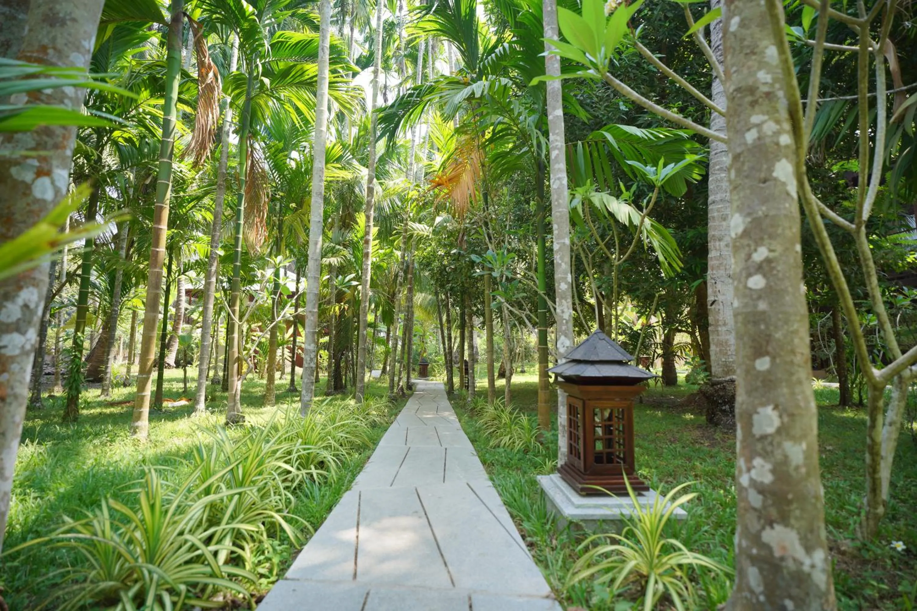 Garden in Sea Shell Neil