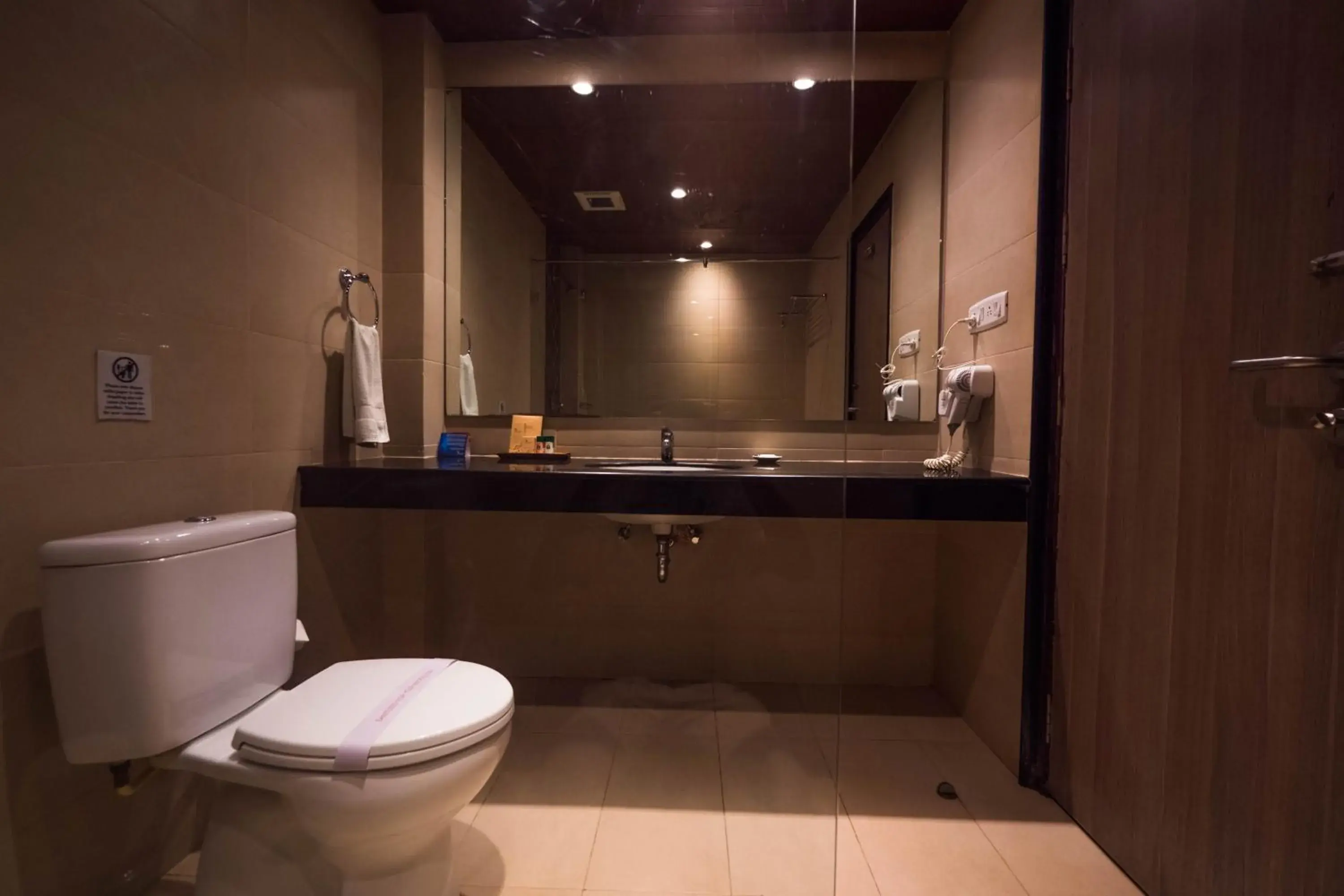 Sea Shell Neil Sea Shell Neil