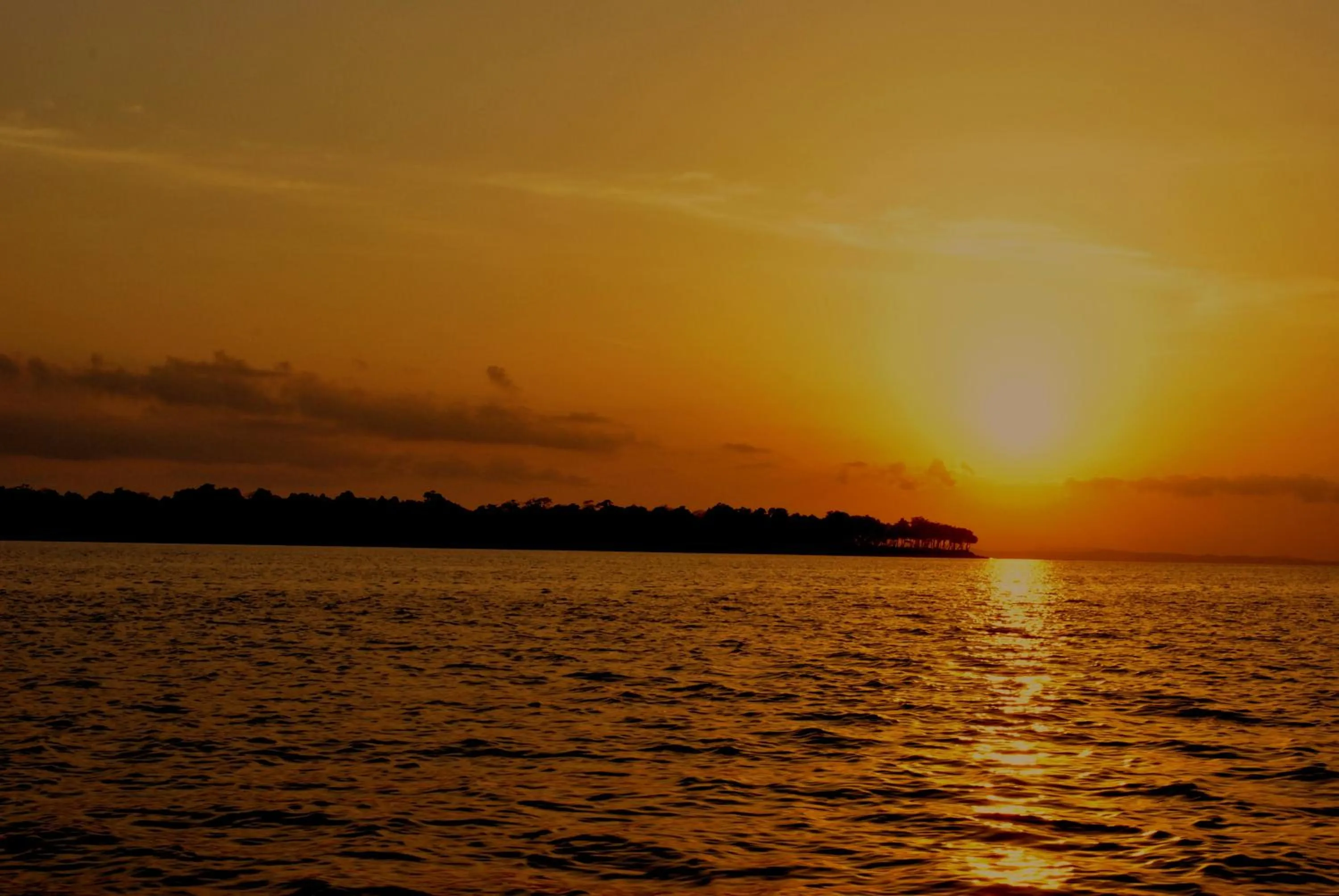 Natural landscape in Sea Shell Neil