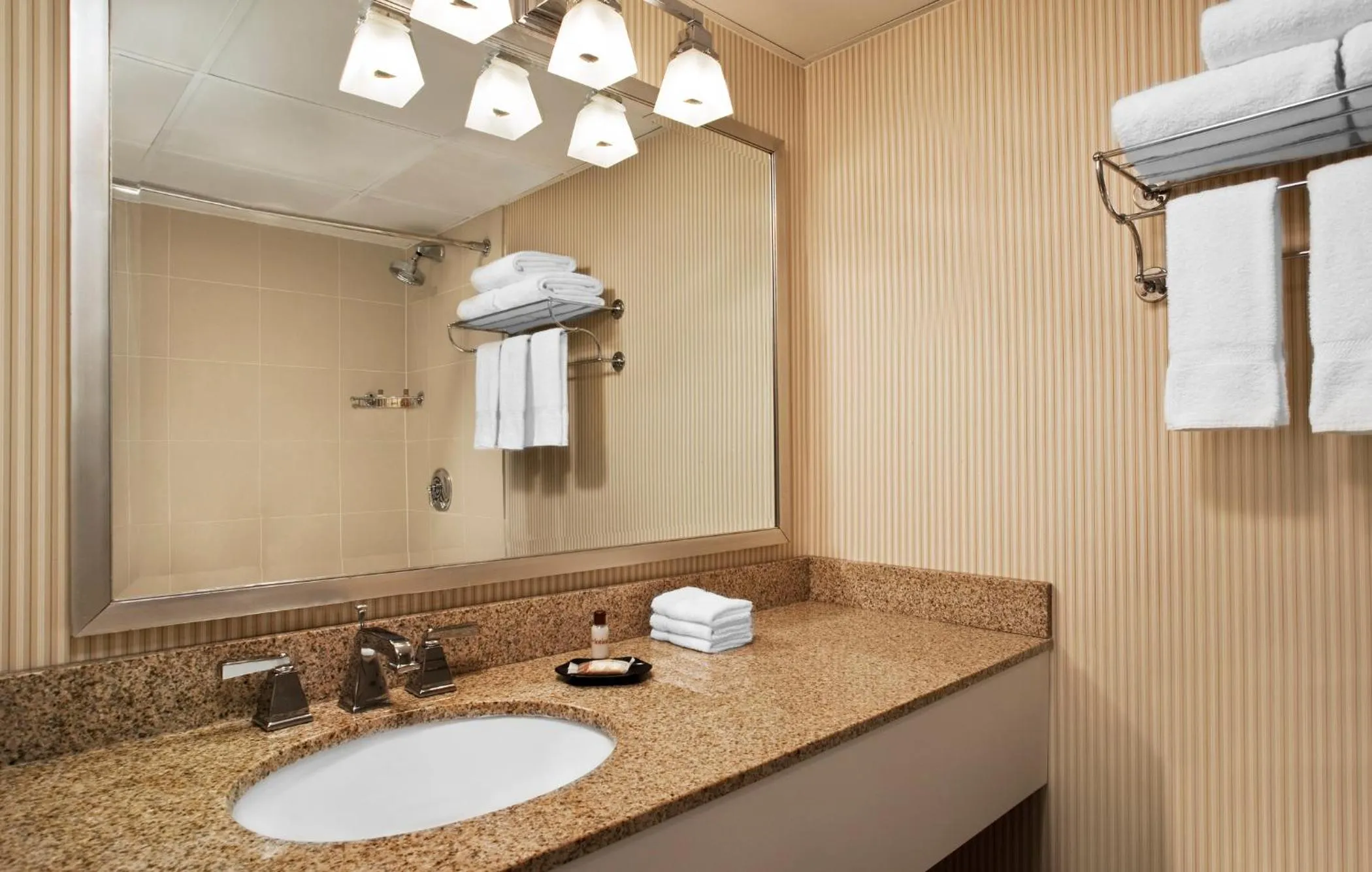 Bathroom in Sheraton Framingham Hotel & Conference Center