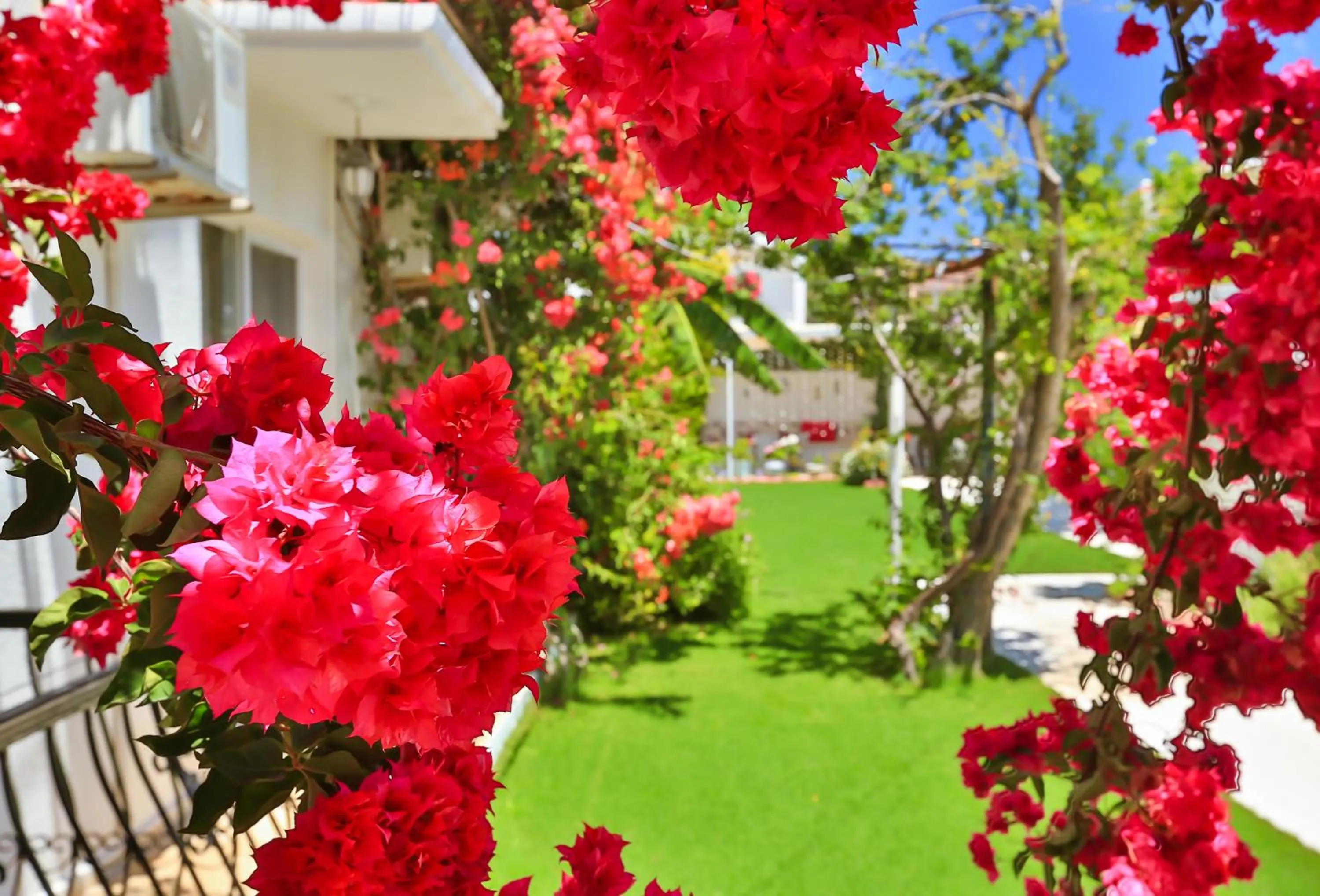 Spring in Kiraz Butik Hotel