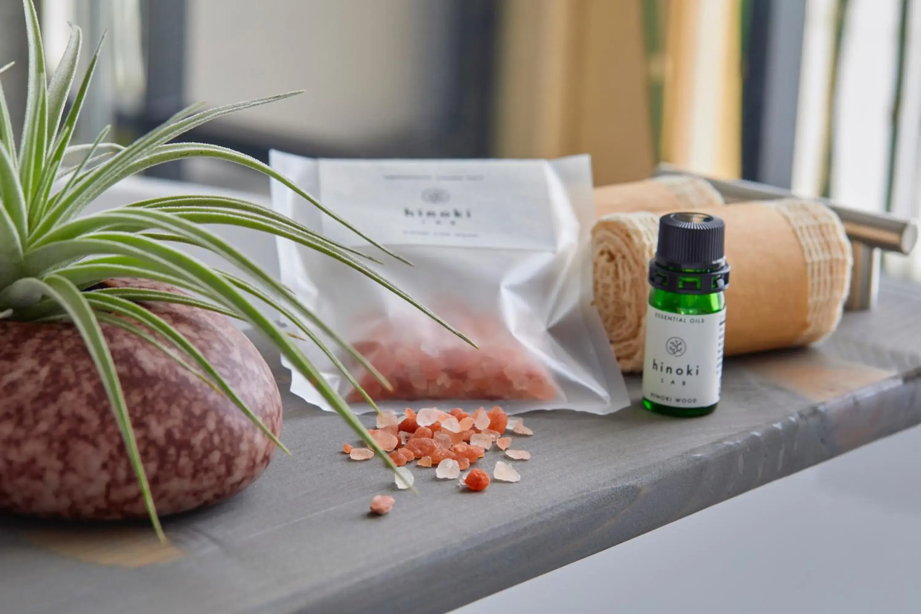 Twin Studio Suite - single occupancy - High Floor in Kimpton Shinjuku Tokyo by IHG Twin Studio Suite - single occupancy - High Floor in Kimpton Shinjuku Tokyo by IHG