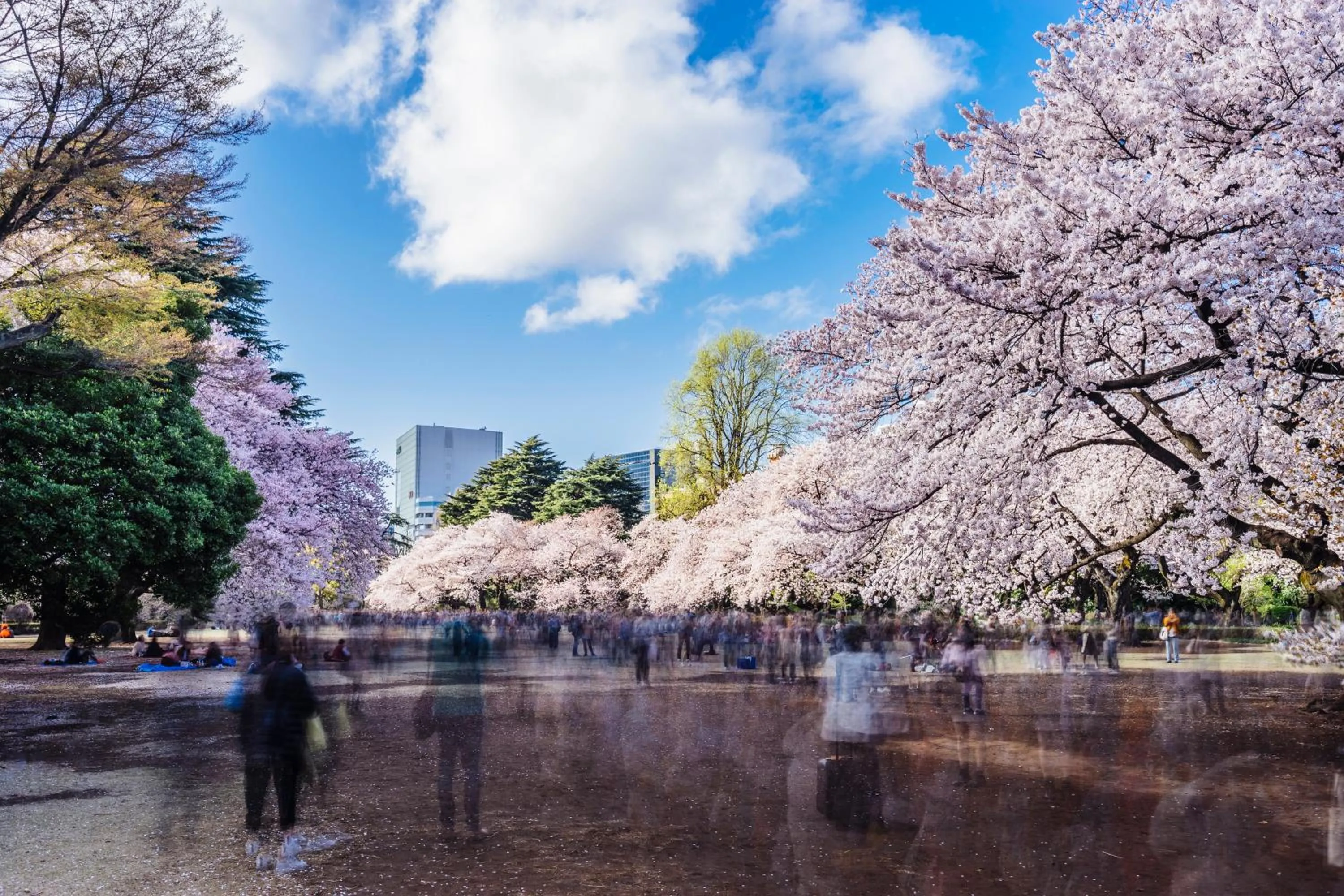 Other in Kimpton Shinjuku Tokyo by IHG