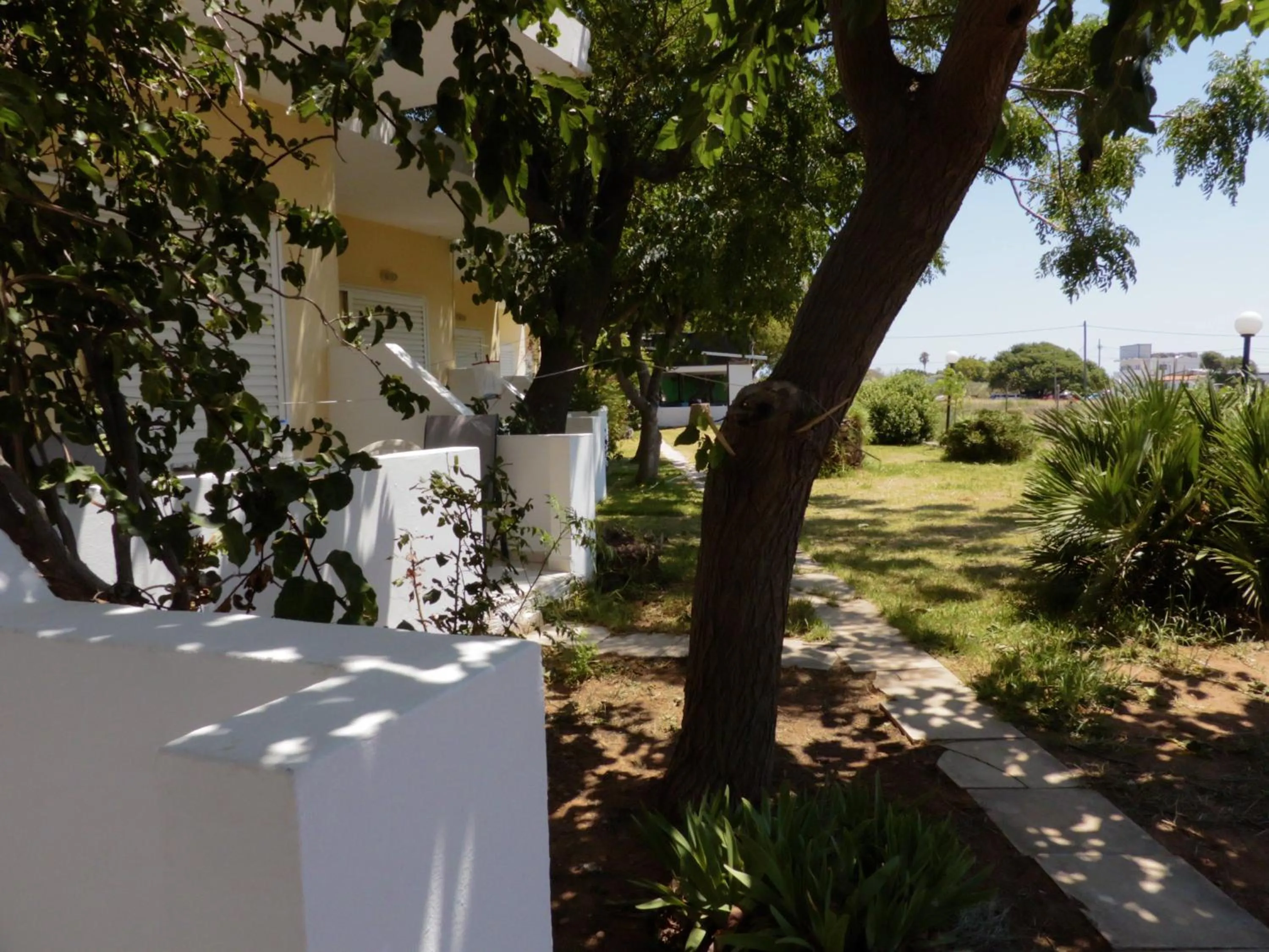 Garden in Ledakis Studios