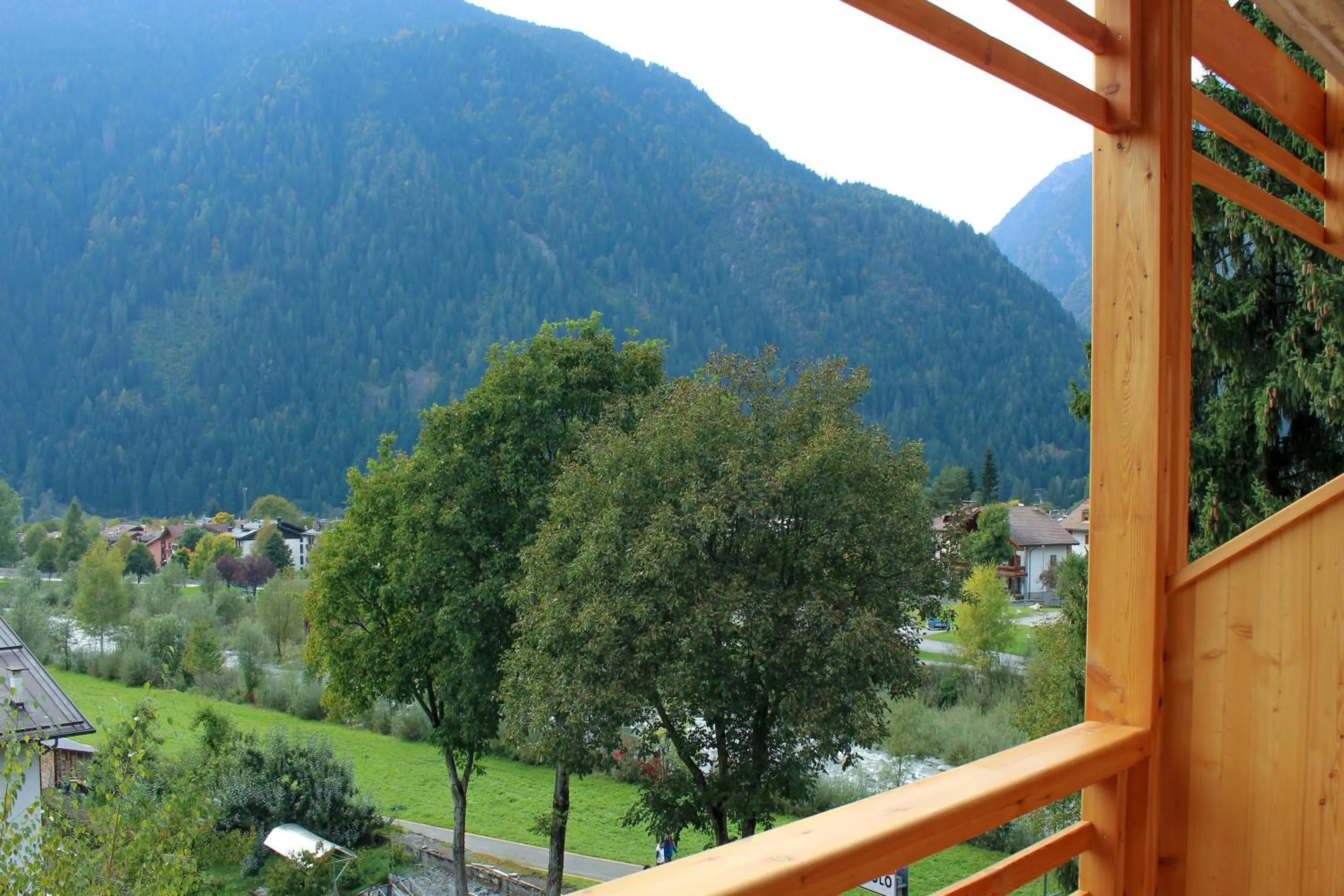 Balcony/Terrace in Edelweiss Alpine Nature
