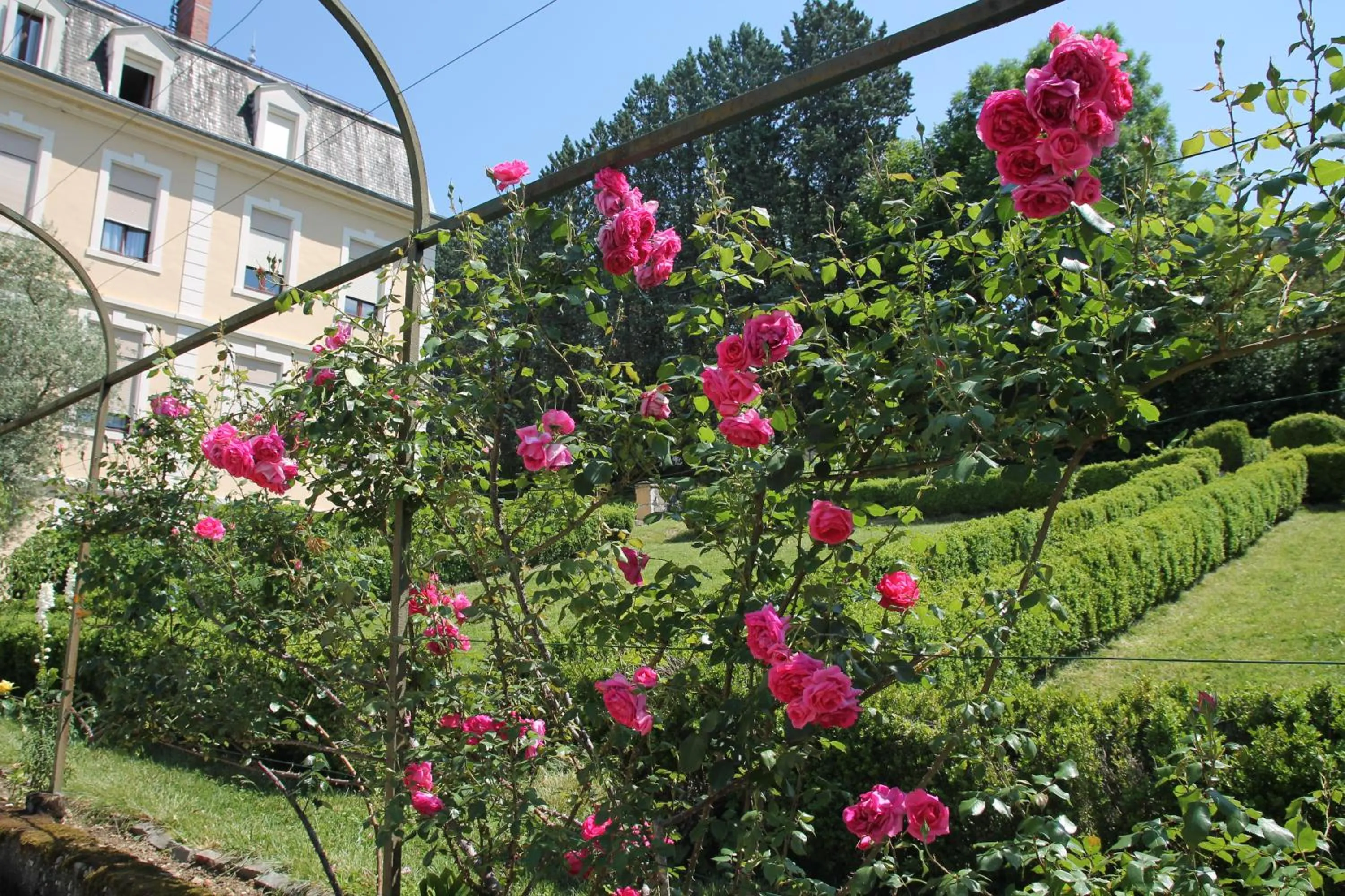 Spring in Hotel des Eaux