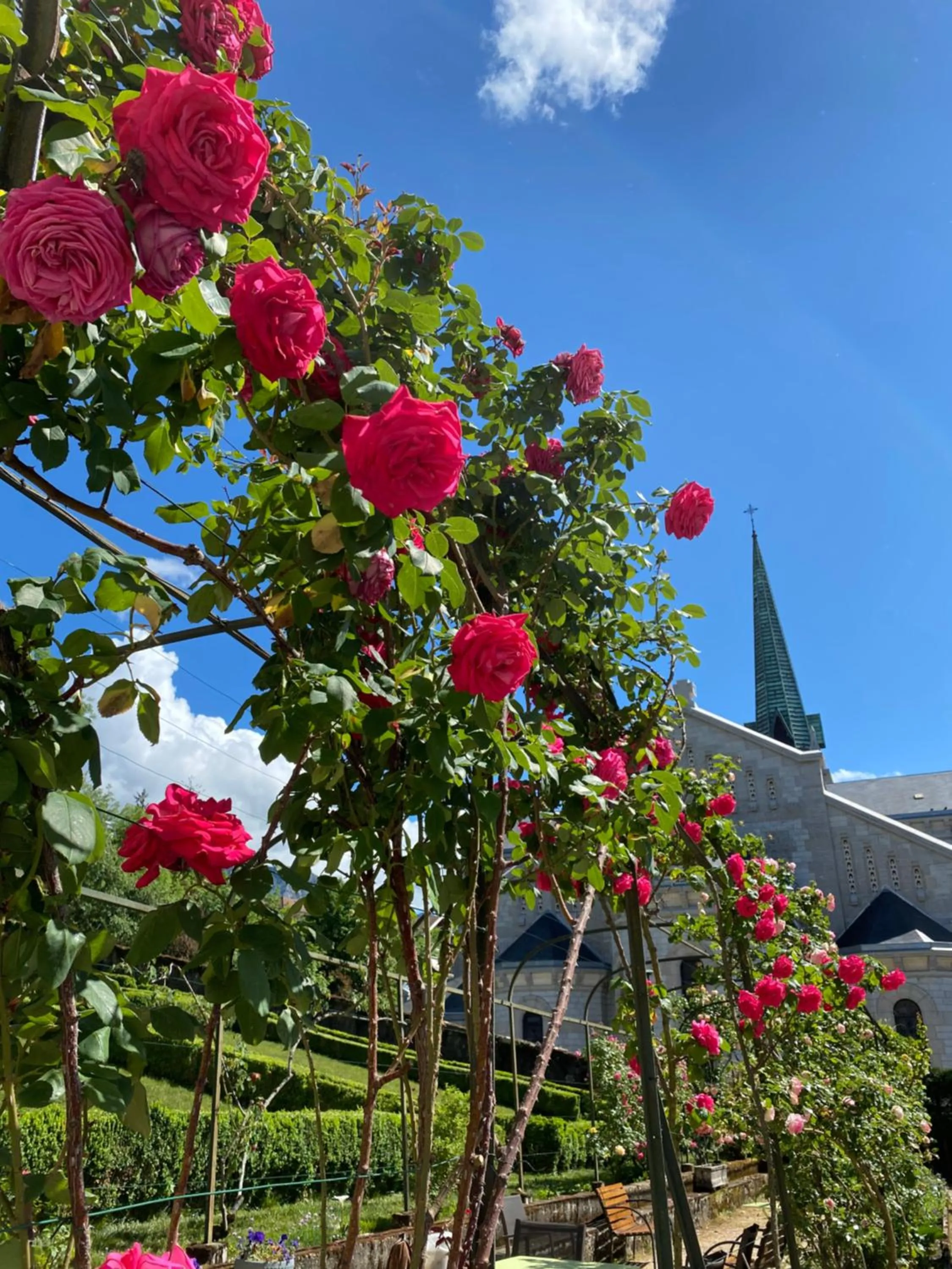 Spring in Hotel des Eaux