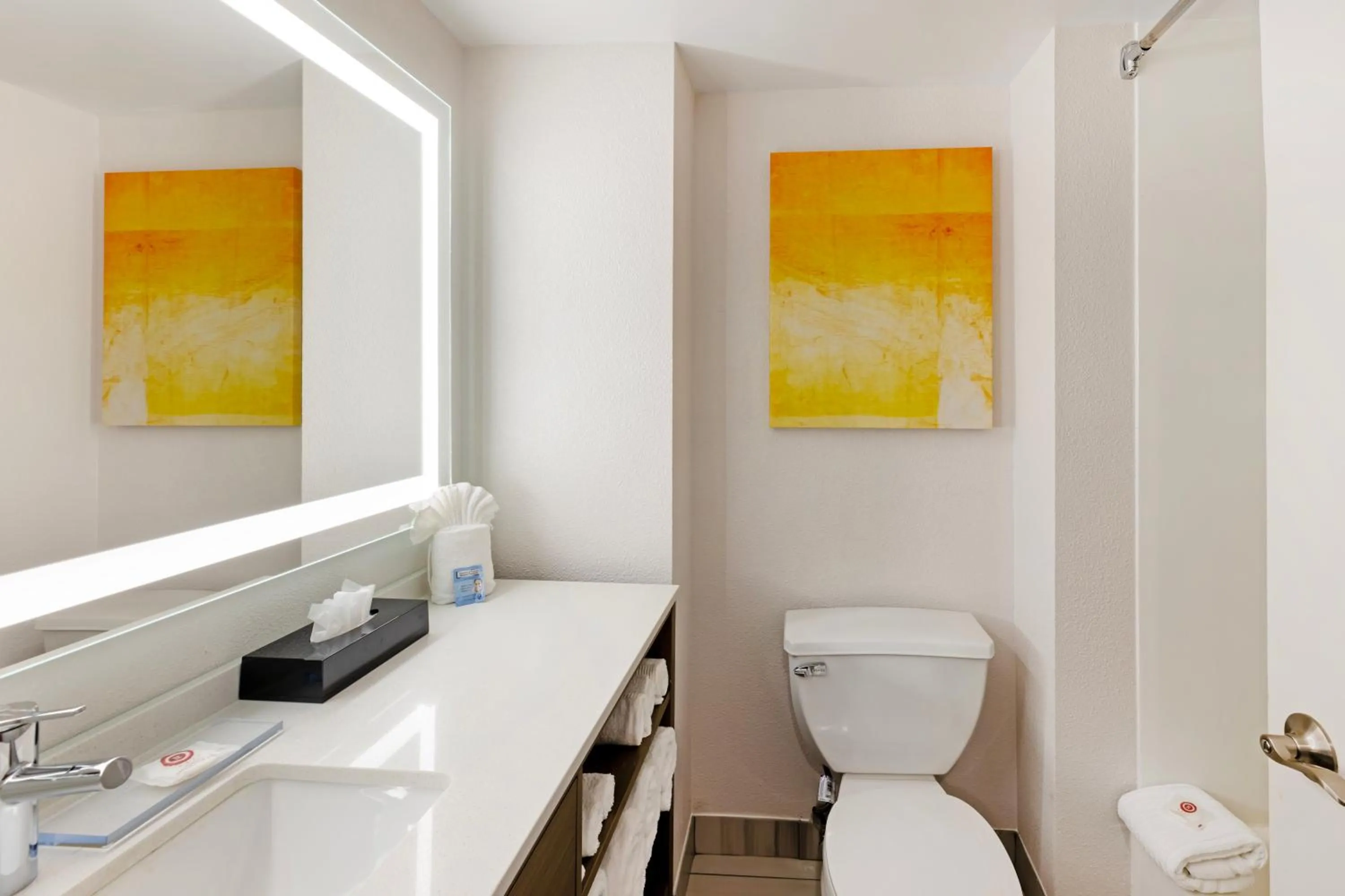 Bathroom in Wingate by Wyndham - Arlington Heights