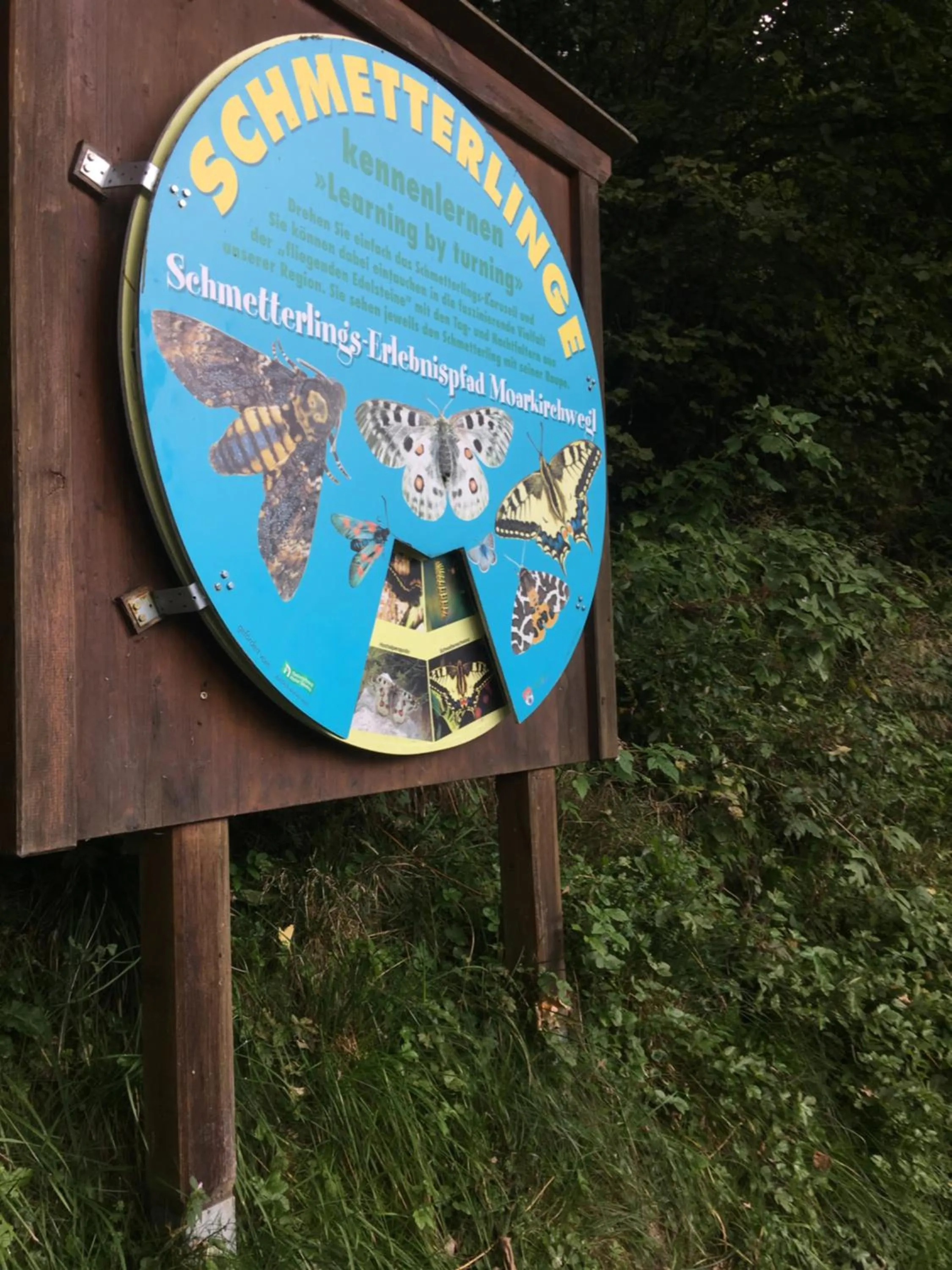 Hiking in Apartment Haus am See