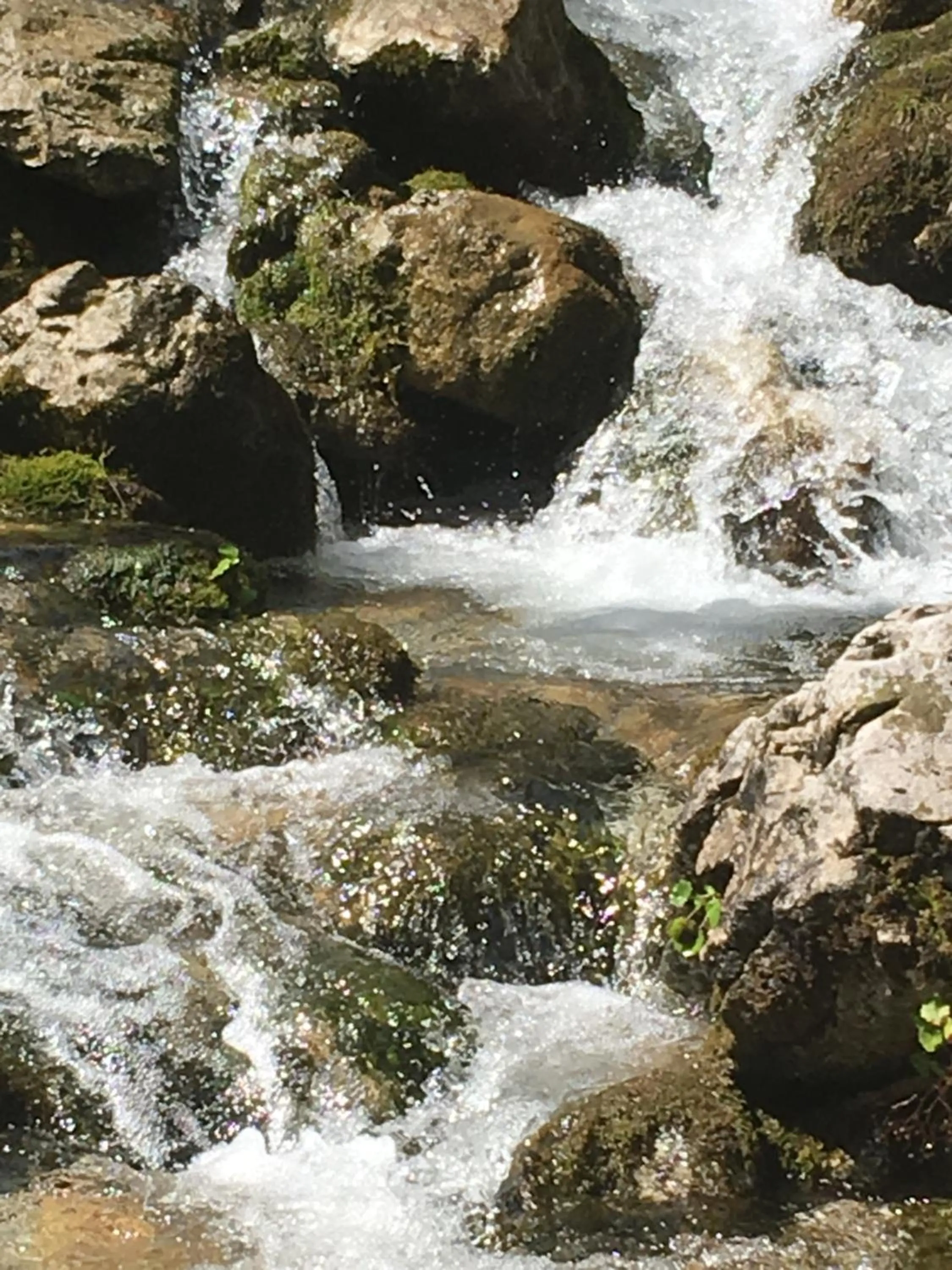Hiking in Apartment Haus am See