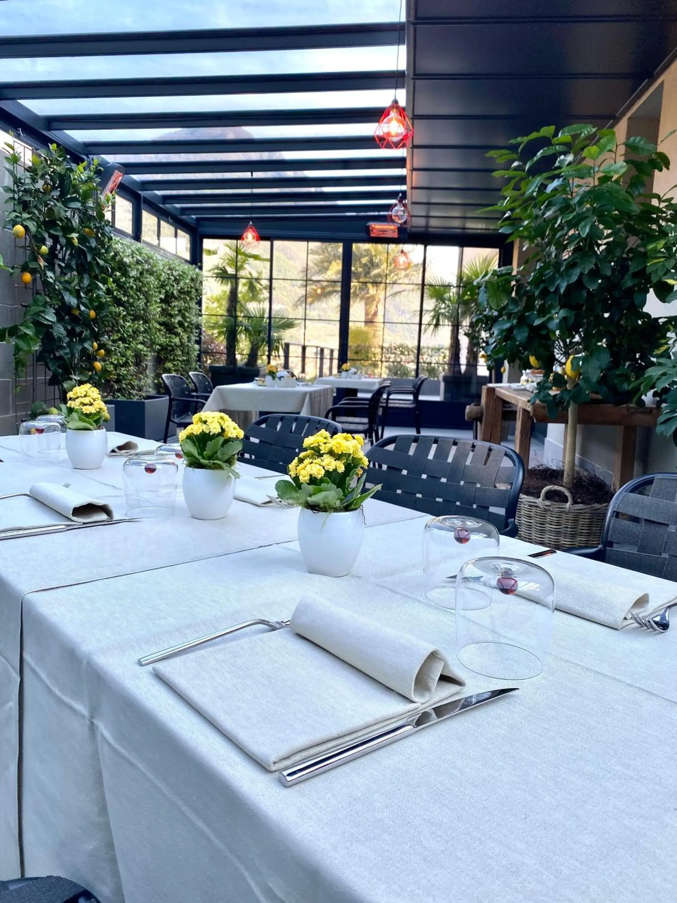 Restaurant/places to eat in Hotel Lago Restaurant/places to eat in Hotel Lago