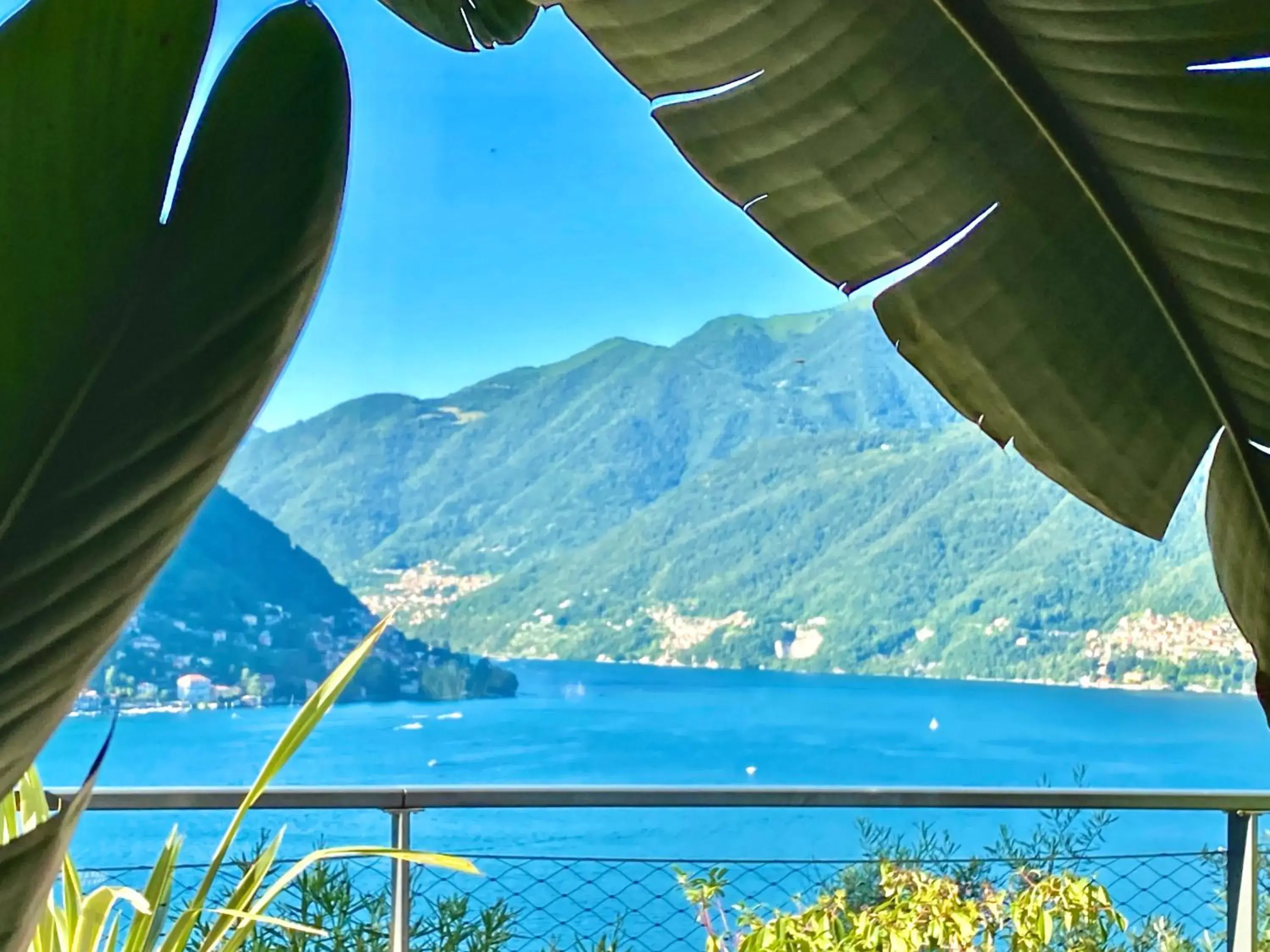 Lake view in Hotel Lago Lake view in Hotel Lago