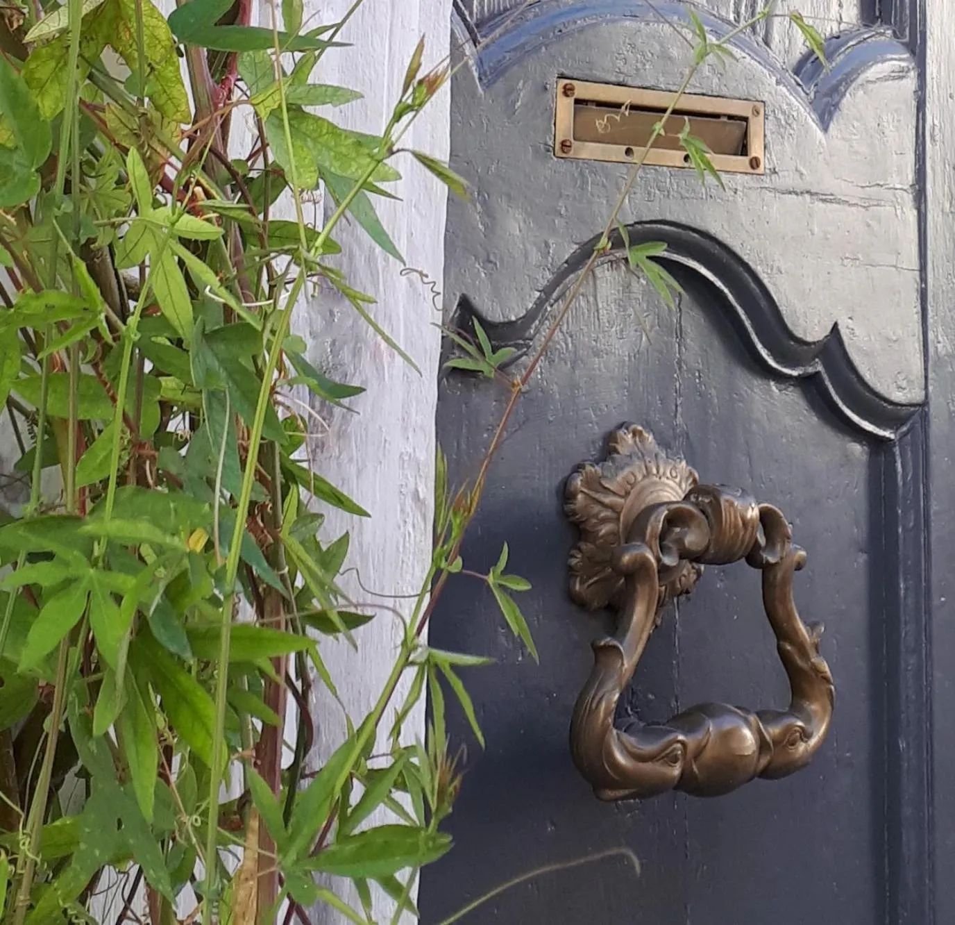 Facade/entrance in Ô Anges