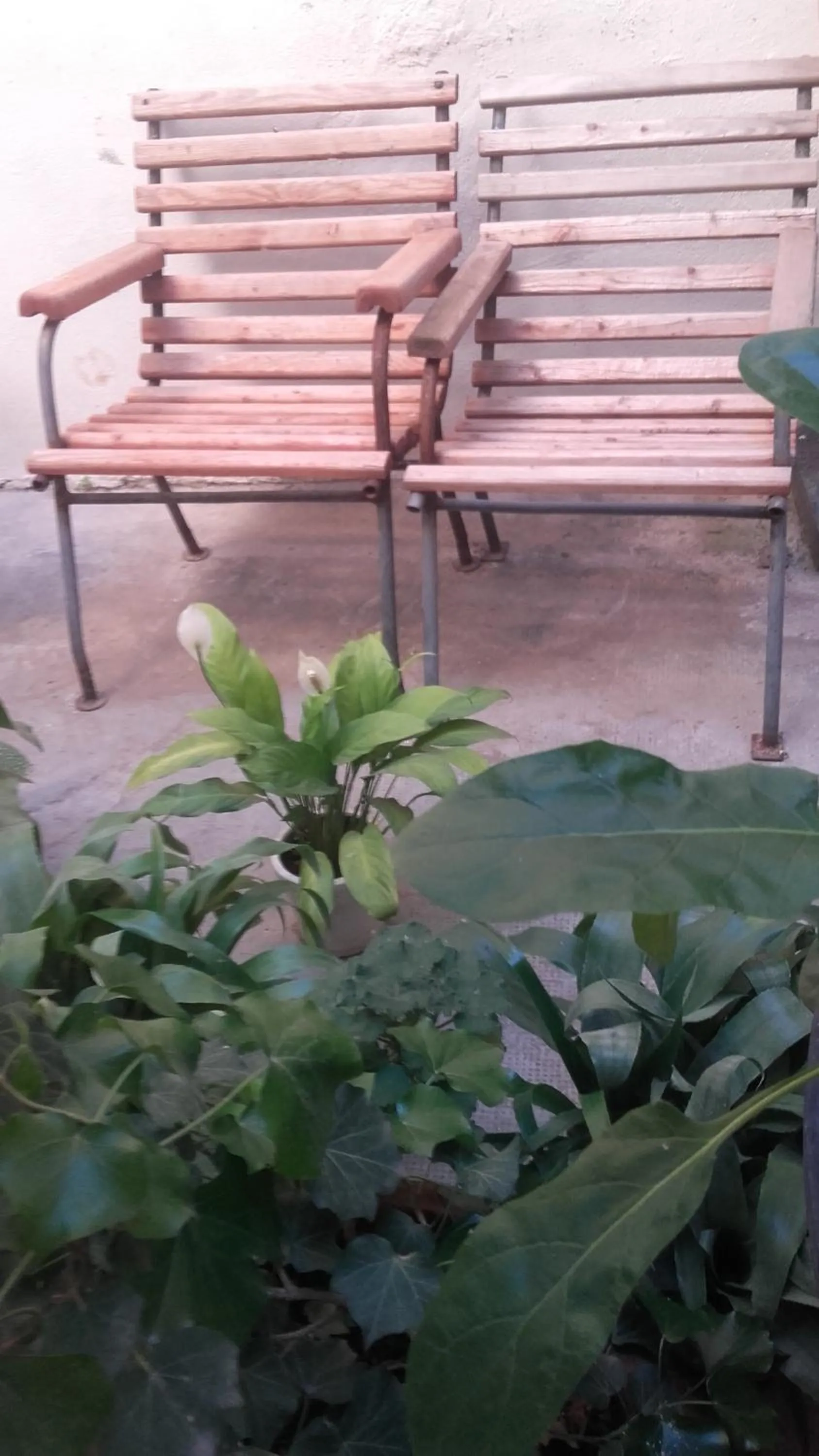 Garden view in Ô Anges