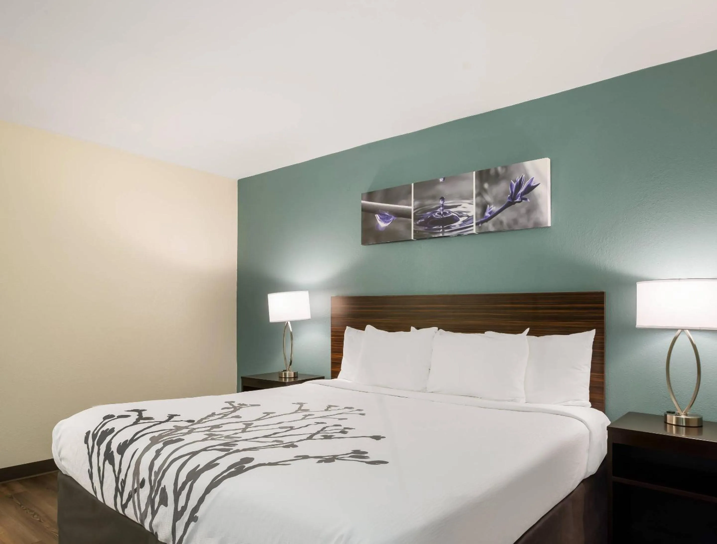 Bedroom, Bed in Sleep Inn Savannah Midtown