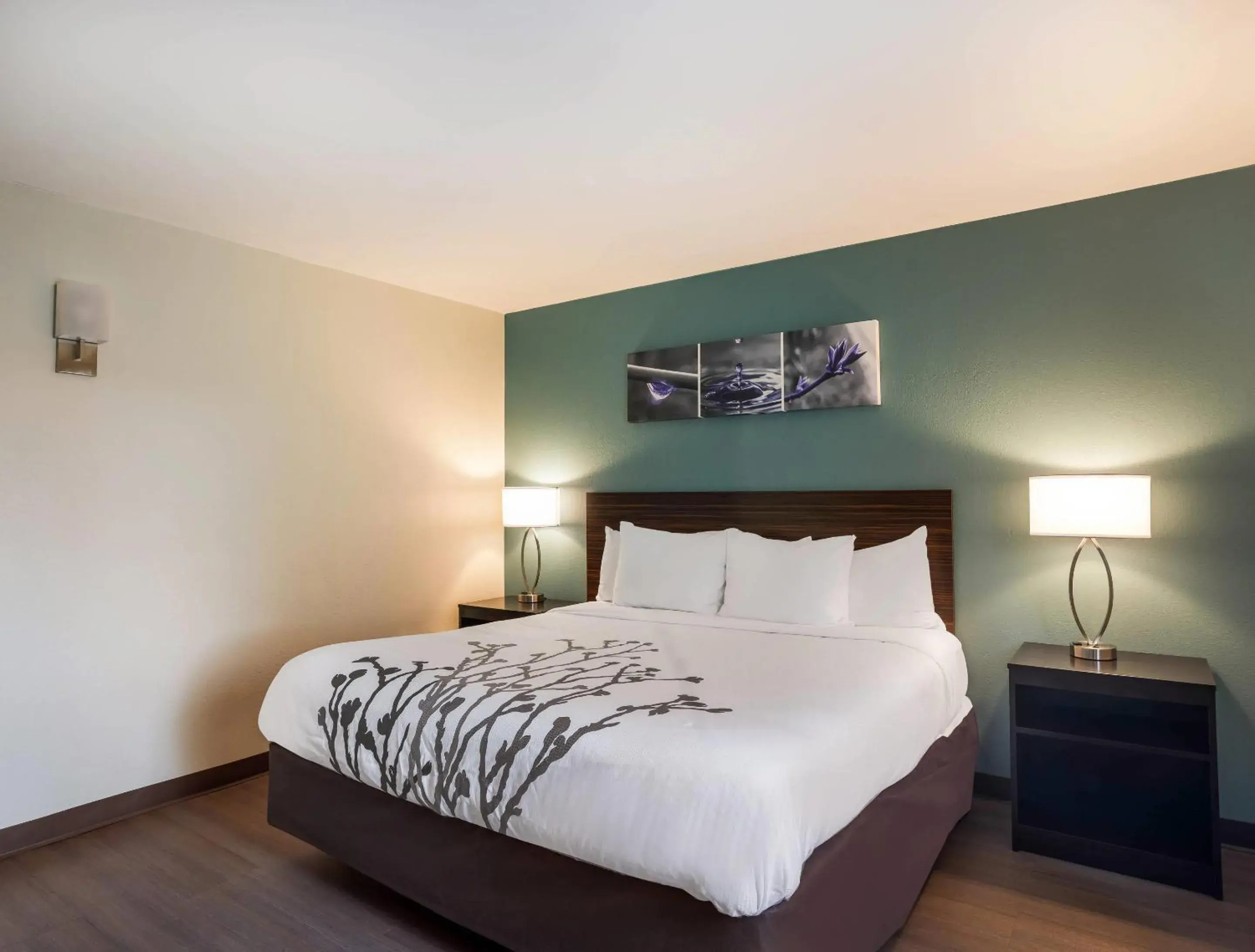 Bedroom, Bed in Sleep Inn Savannah Midtown Bedroom, Bed in Sleep Inn Savannah Midtown