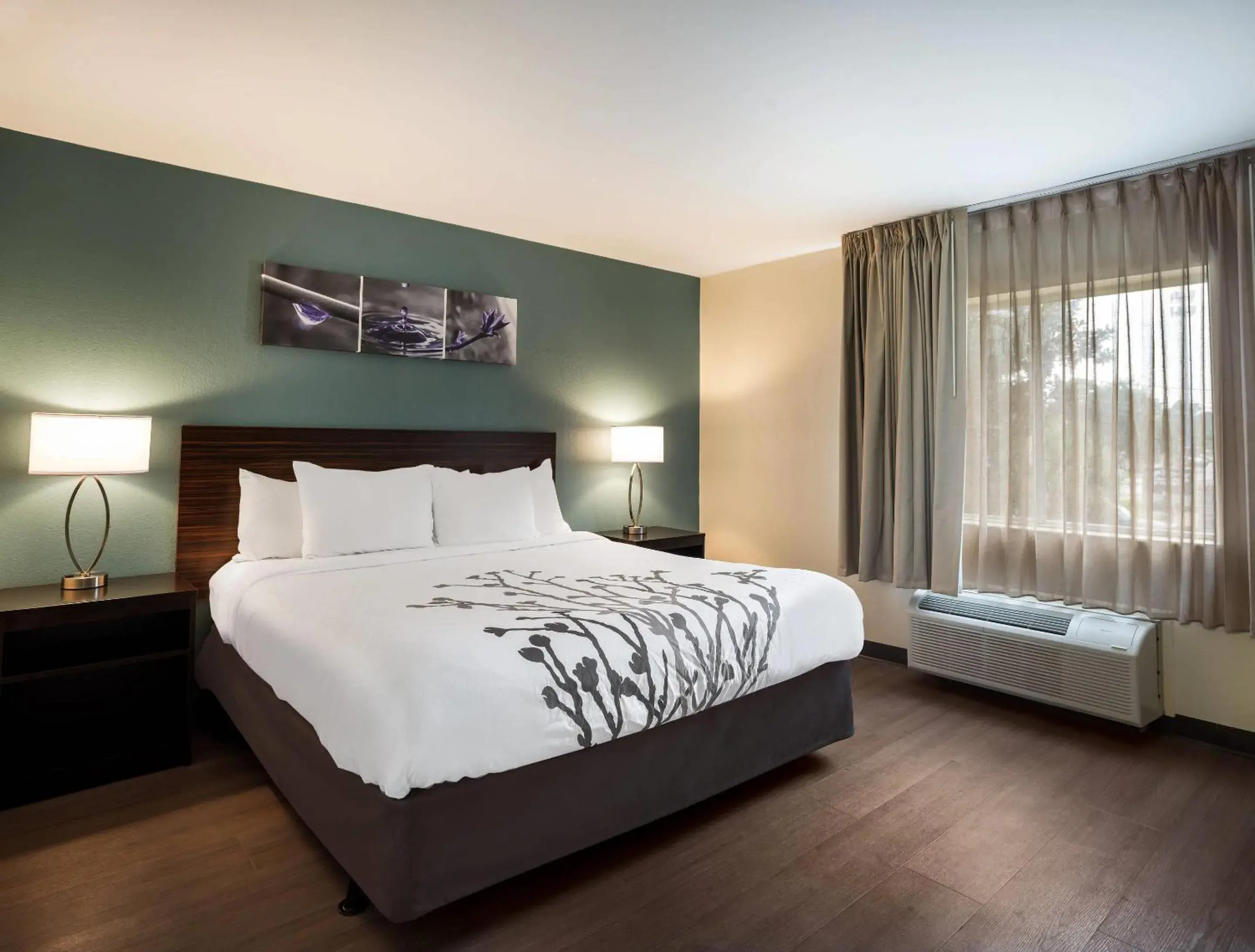 Bedroom, Bed in Sleep Inn Savannah Midtown Bedroom, Bed in Sleep Inn Savannah Midtown