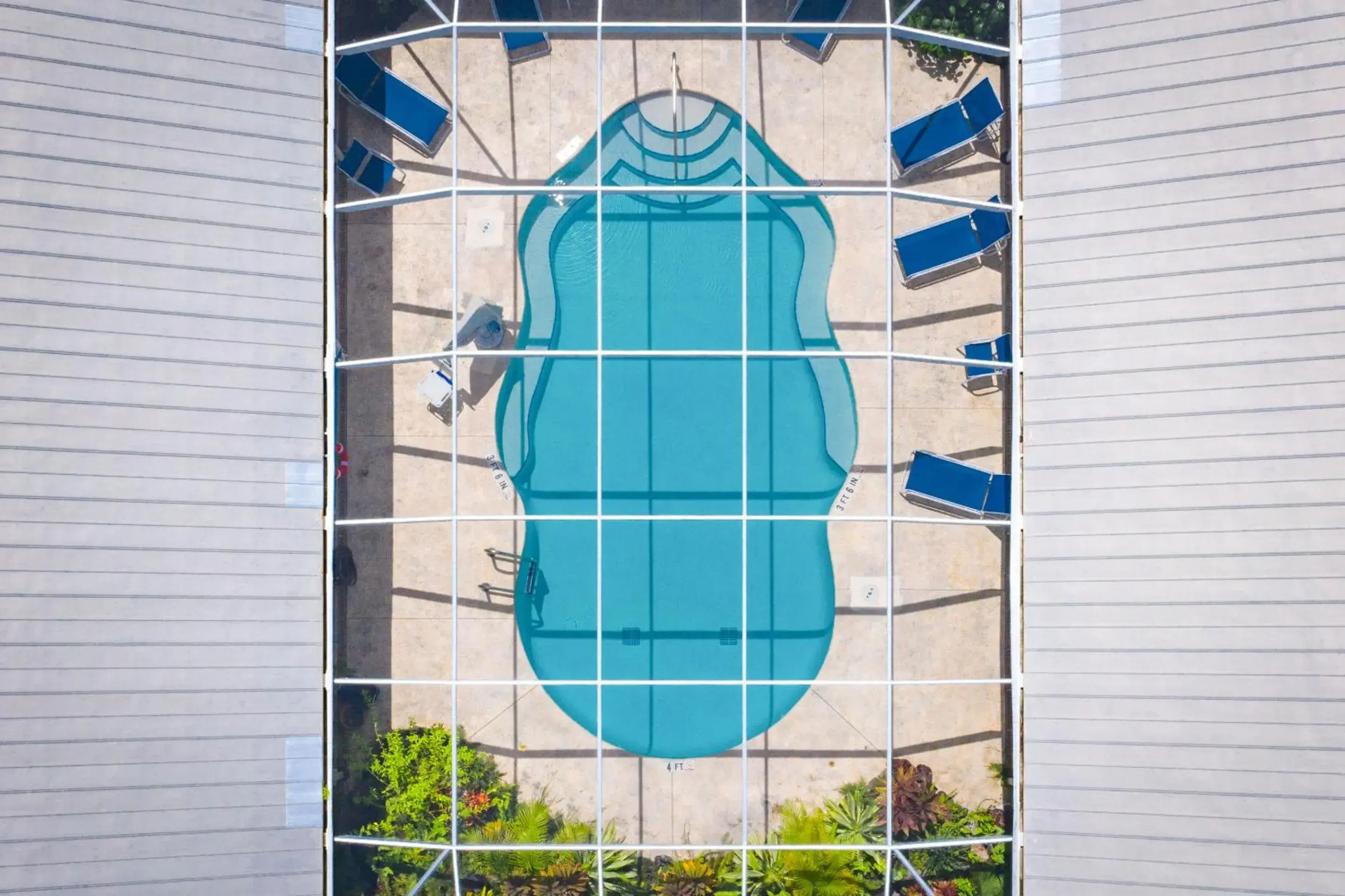 Swimming pool in Everglades Adventures Hotel Suites by Ivey House Swimming pool in Everglades Adventures Hotel Suites by Ivey House